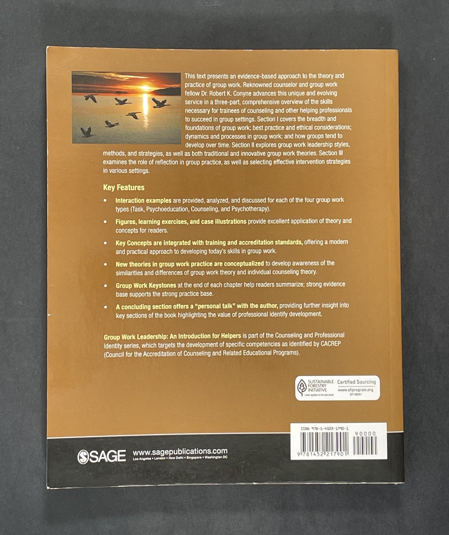 Group Work Leadership by Robert K. Conyne