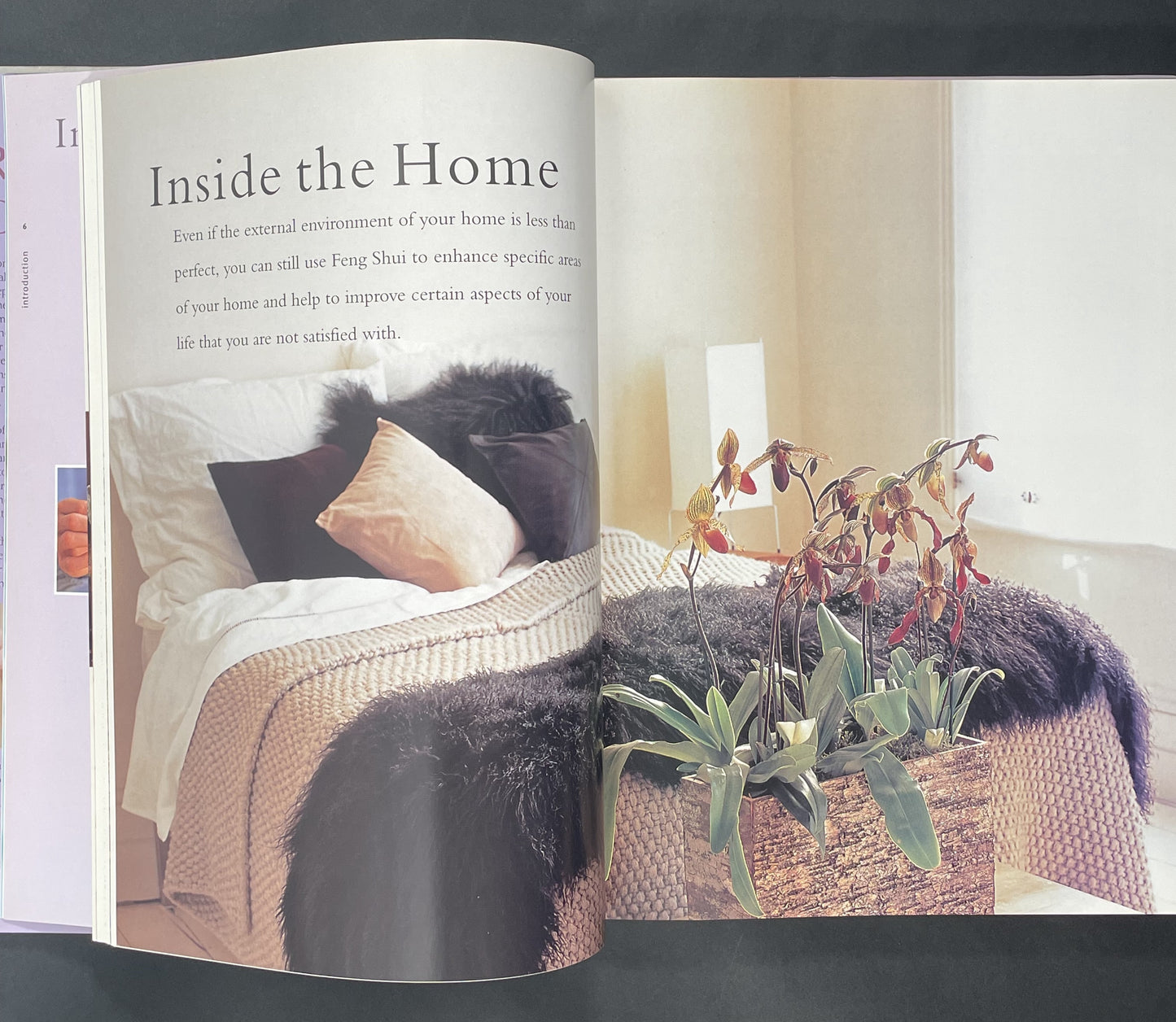 The Spiritual Home by Gill Hale, Stella Martin, Josephine de Winter