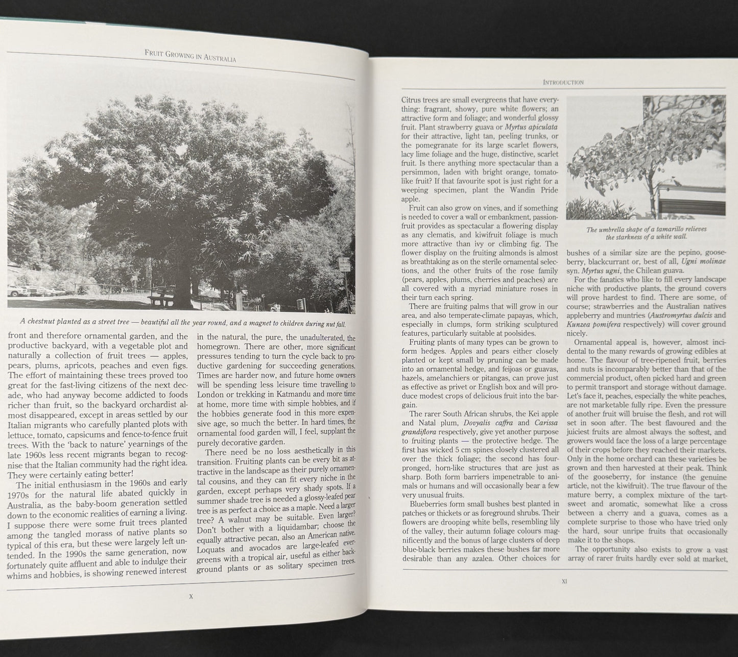 The Complete Book of Fruit Growing in Australia by Louis Glowinski