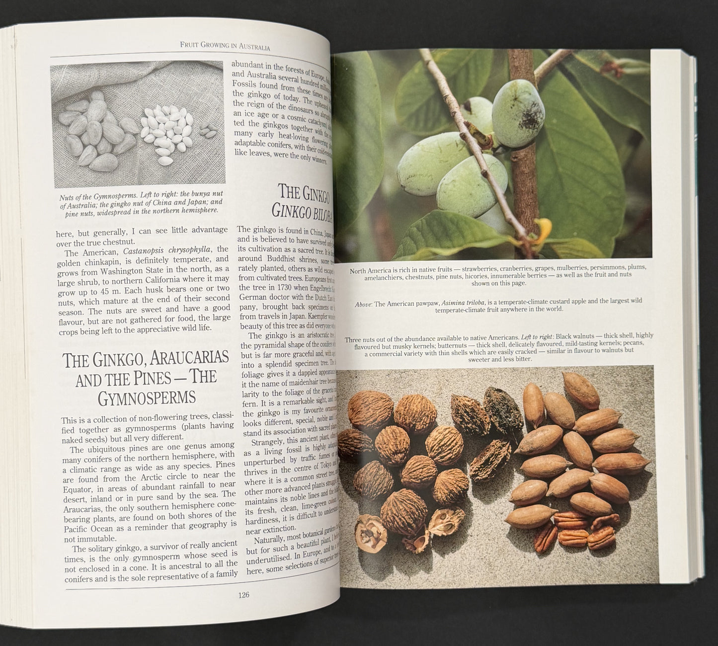The Complete Book of Fruit Growing in Australia by Louis Glowinski