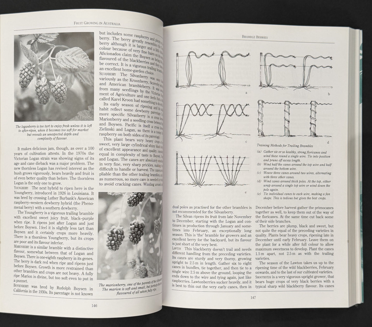 The Complete Book of Fruit Growing in Australia by Louis Glowinski