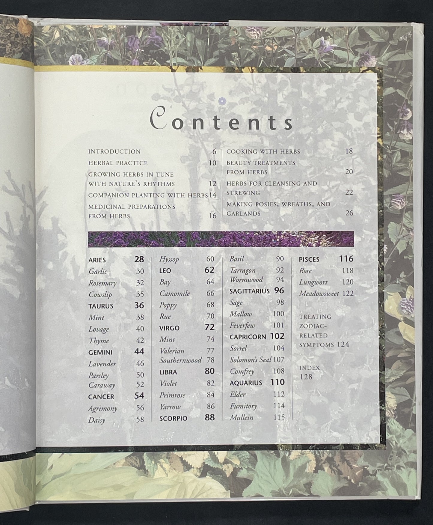 Herbal Wisdom by Roni Jay