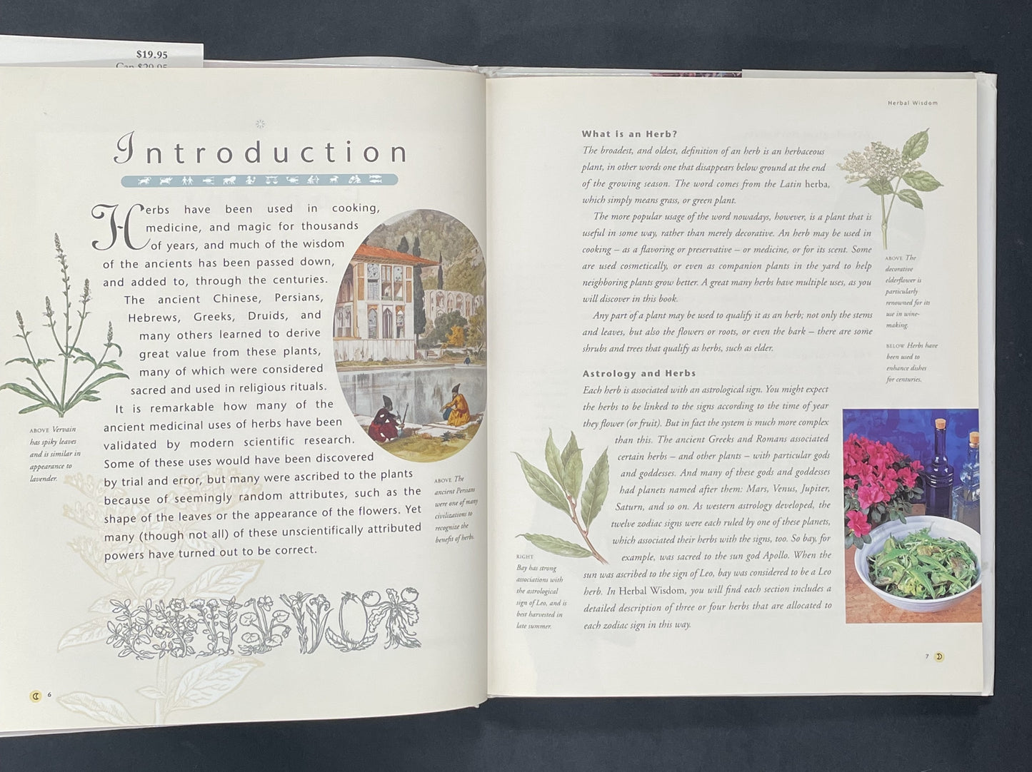 Herbal Wisdom by Roni Jay