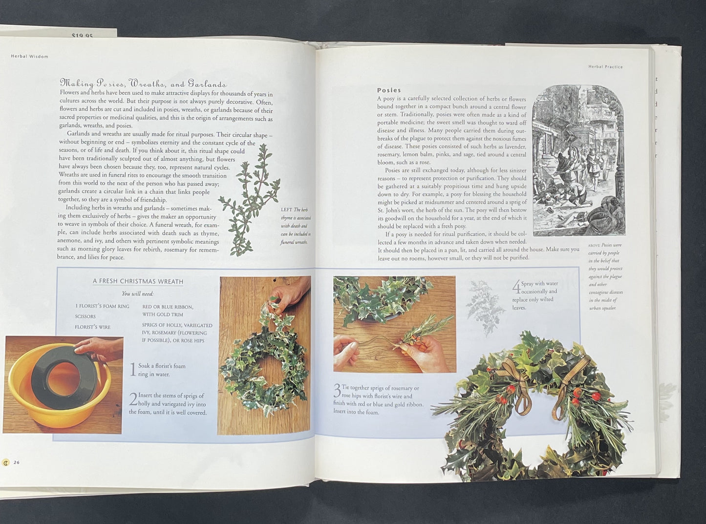 Herbal Wisdom by Roni Jay