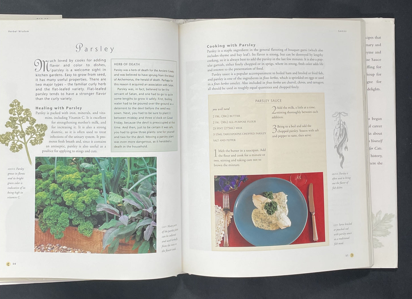 Herbal Wisdom by Roni Jay