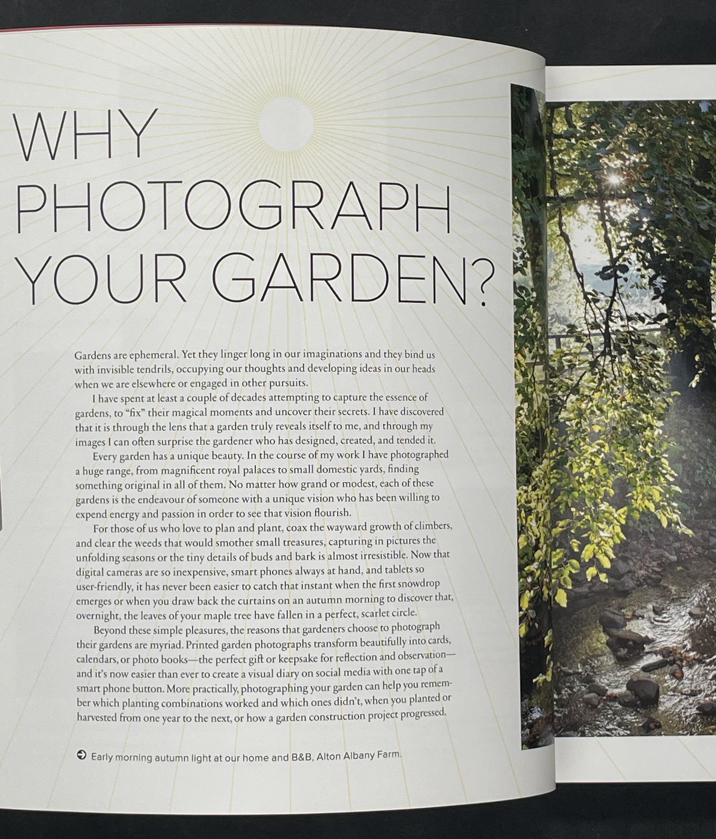 The Garden Photography Workshop by Andrea Jones