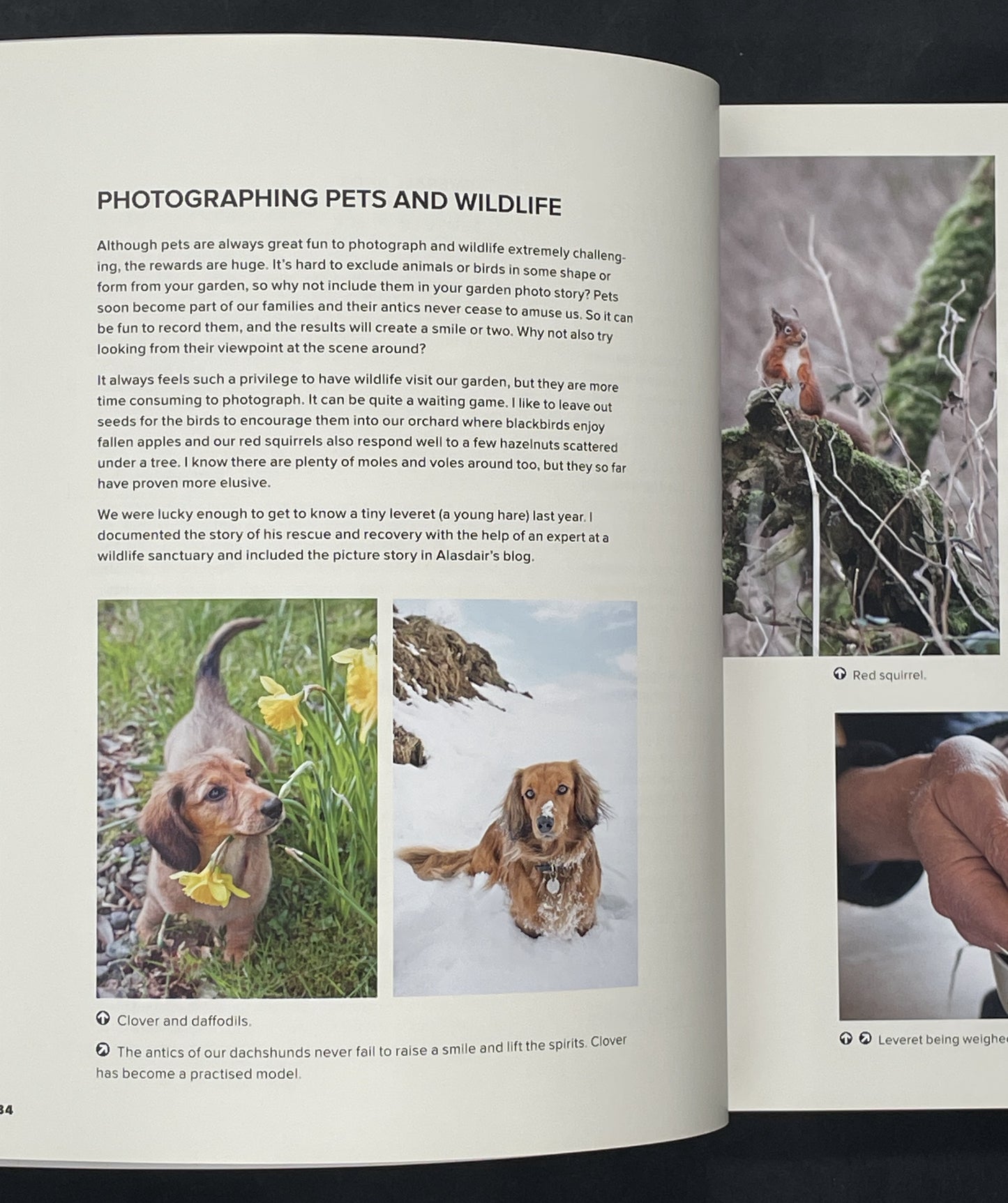 The Garden Photography Workshop by Andrea Jones