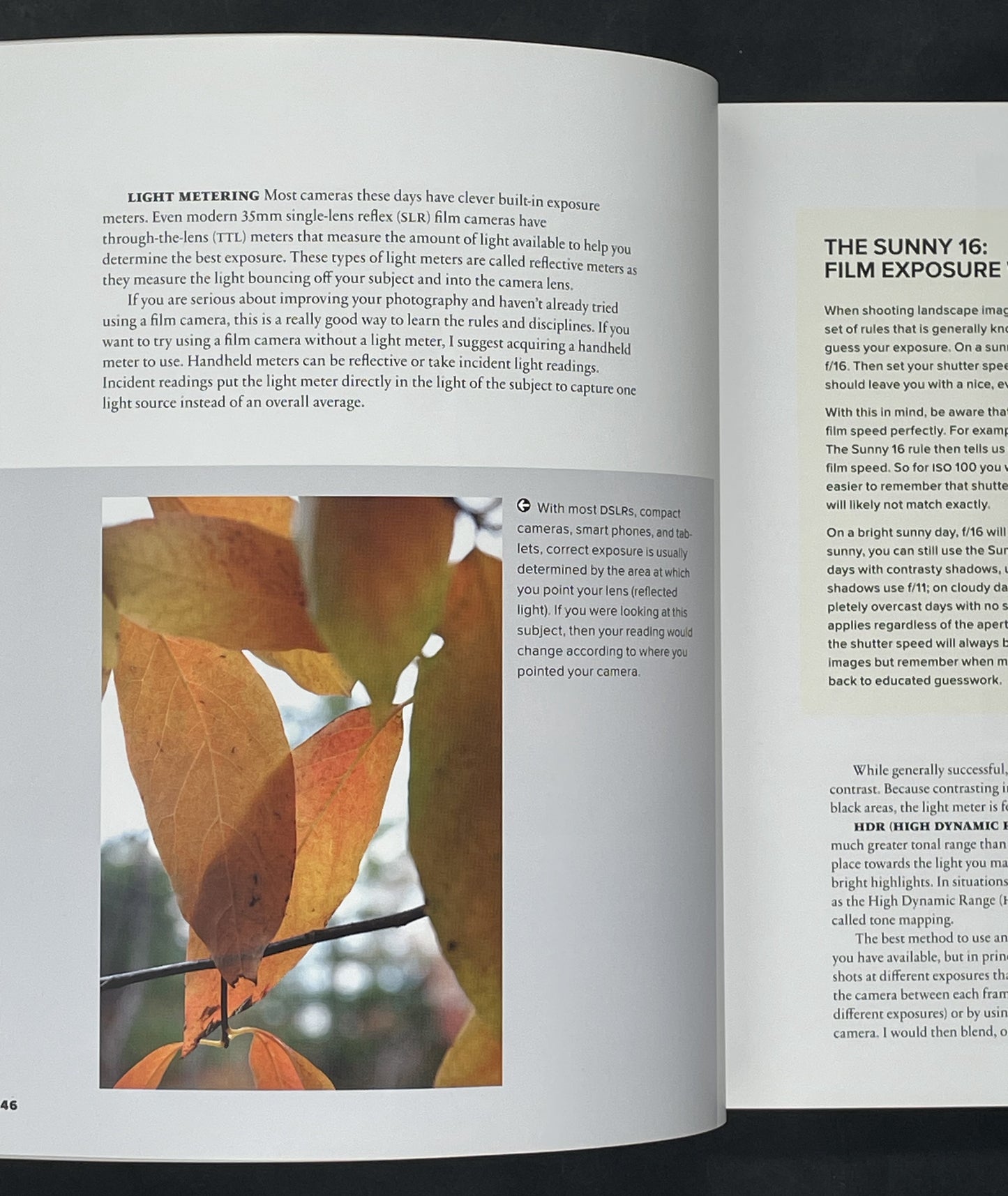 The Garden Photography Workshop by Andrea Jones