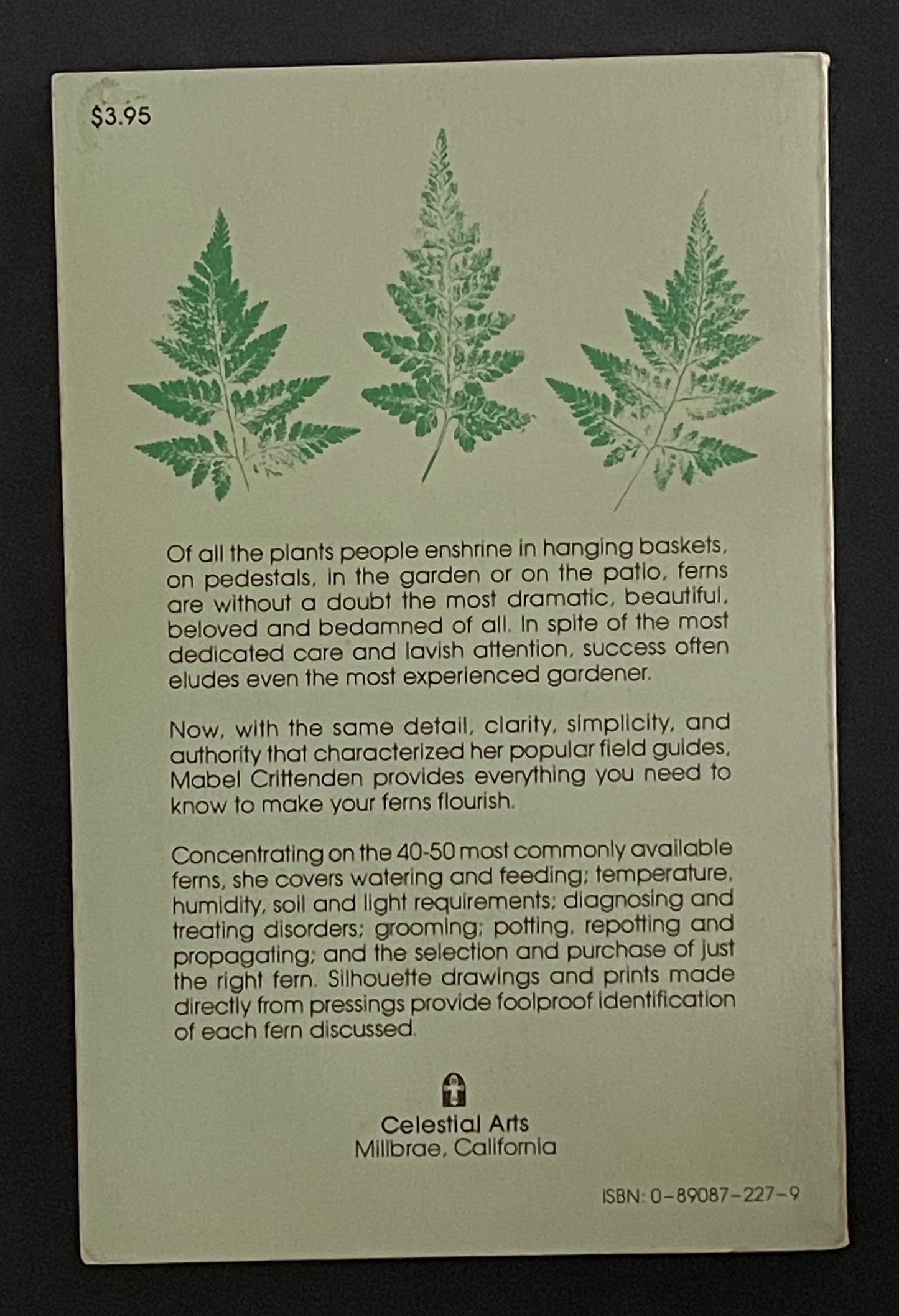 The Fern Book by Mabel Crittenden