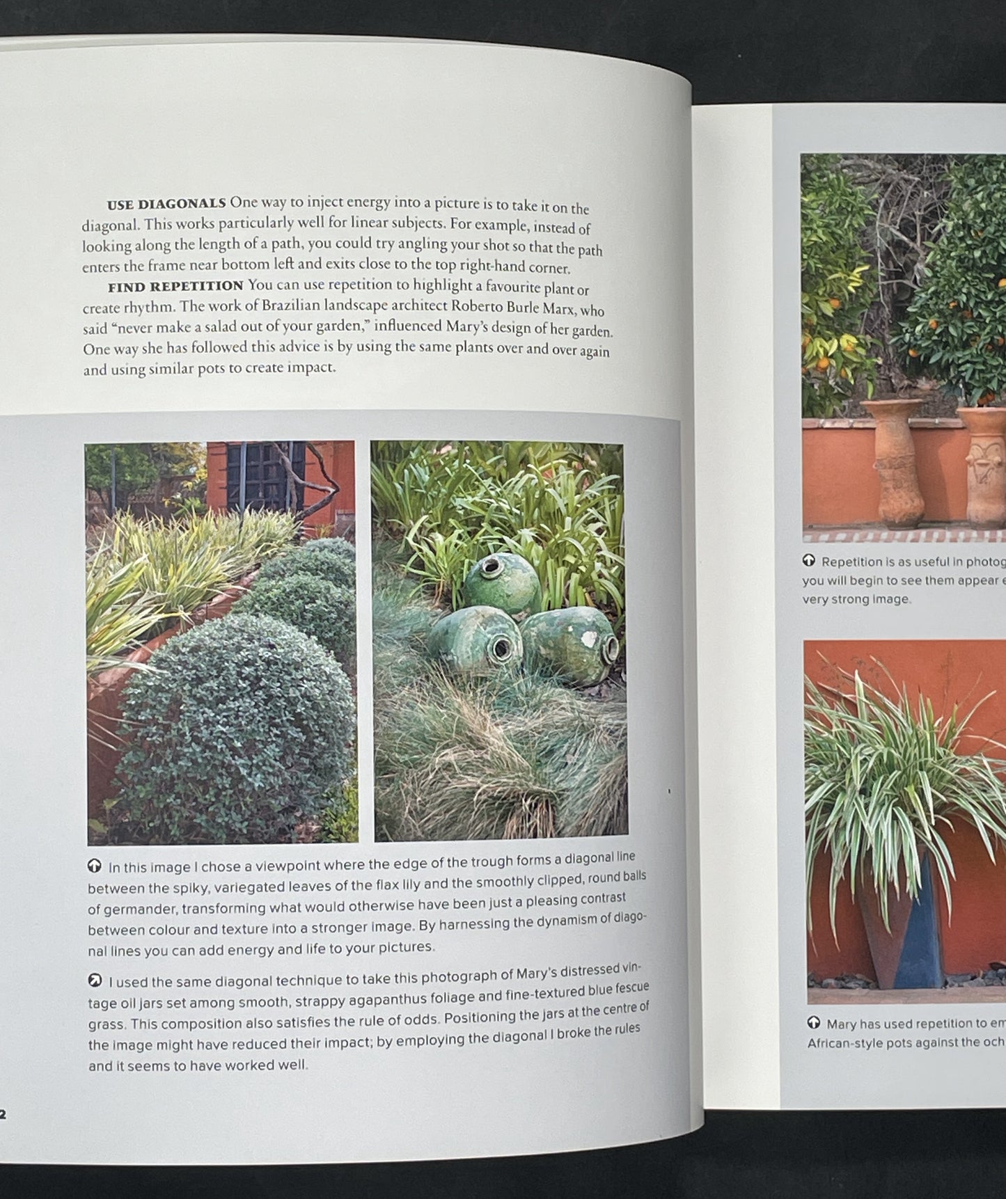 The Garden Photography Workshop by Andrea Jones