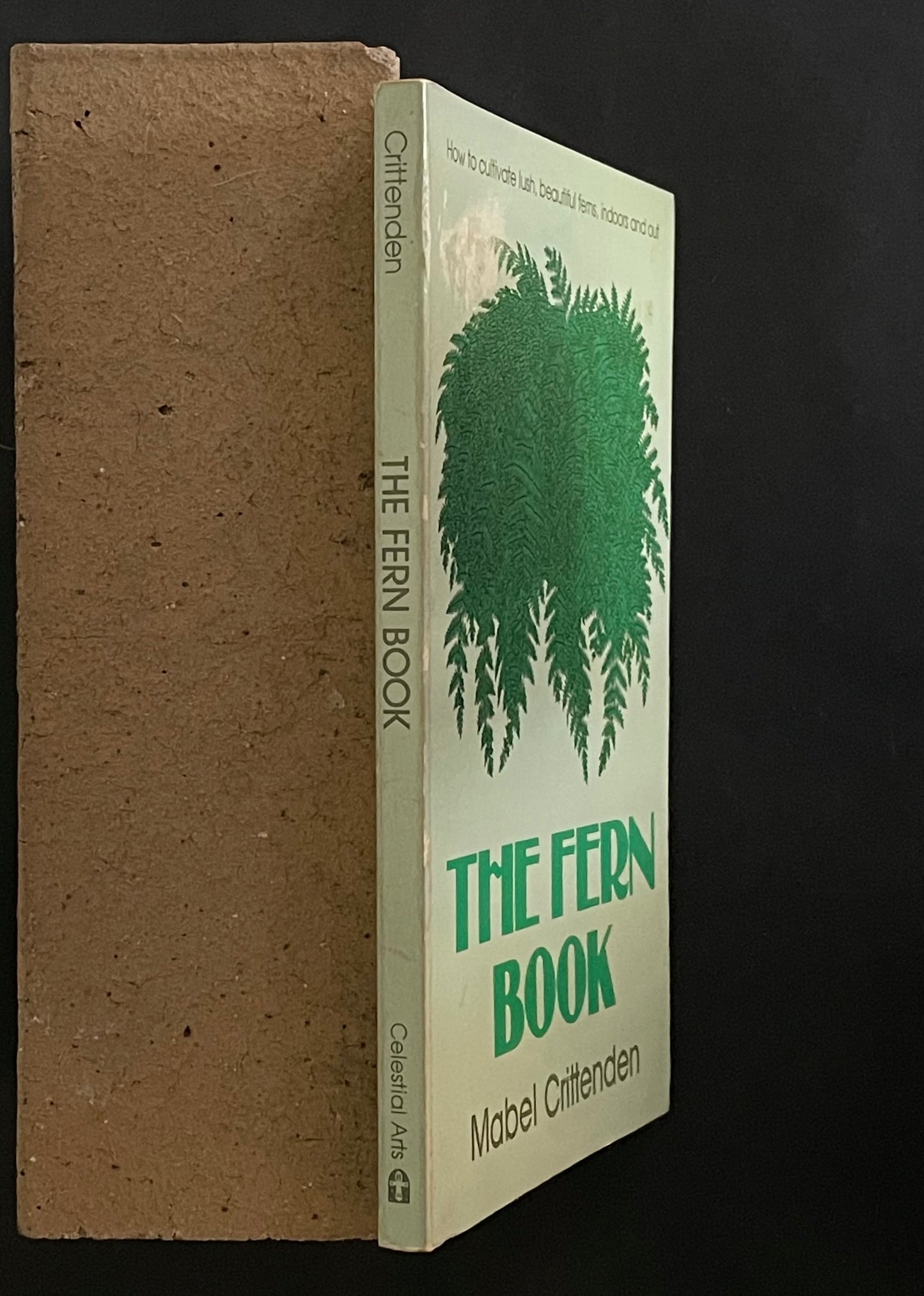 The Fern Book by Mabel Crittenden