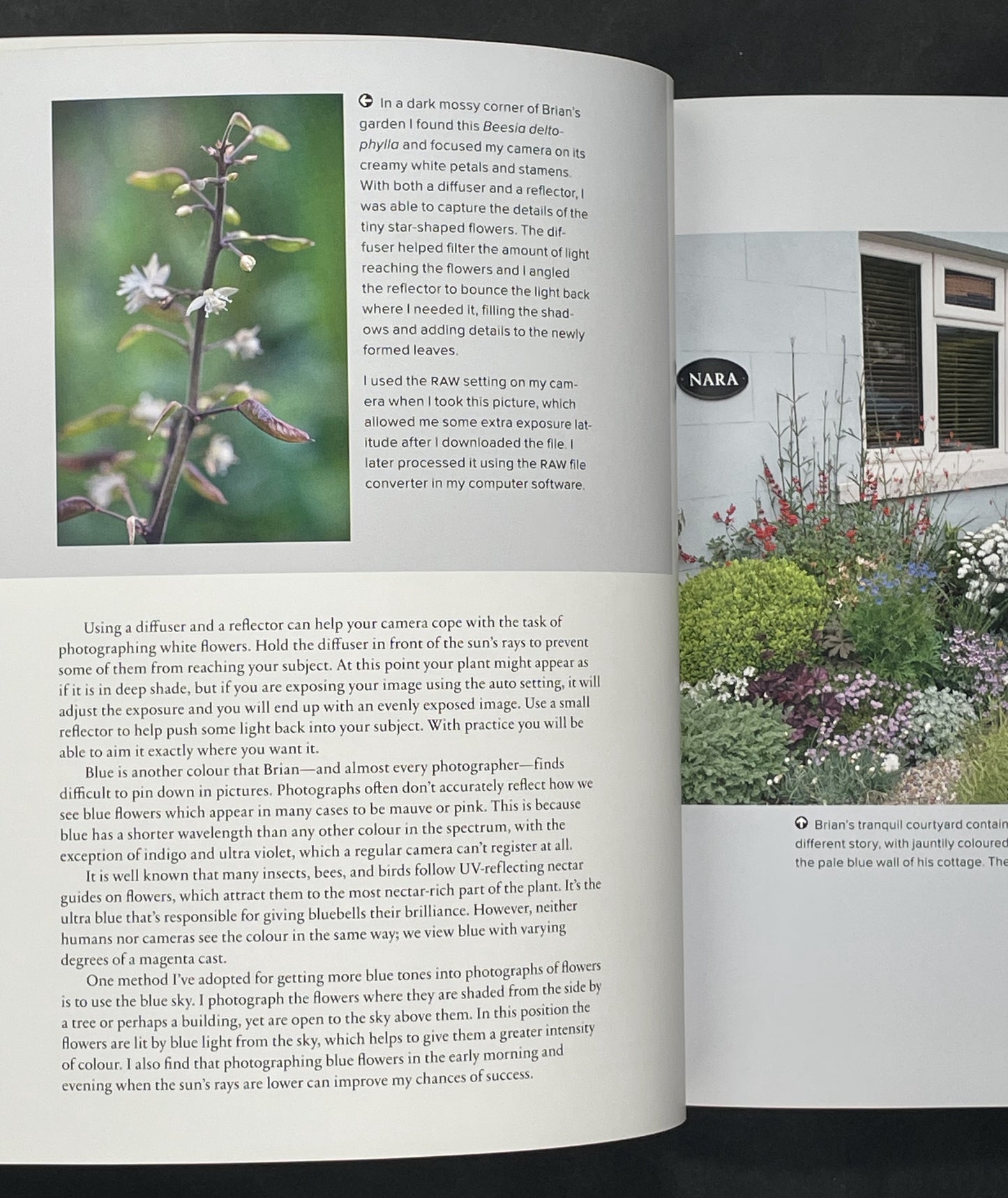 The Garden Photography Workshop by Andrea Jones