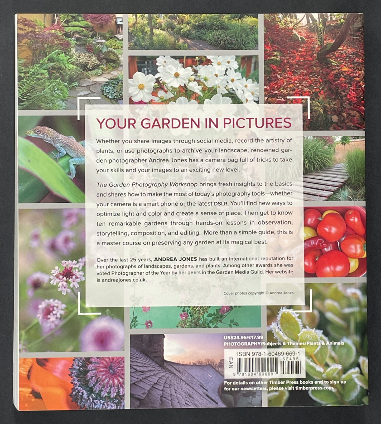 The Garden Photography Workshop by Andrea Jones