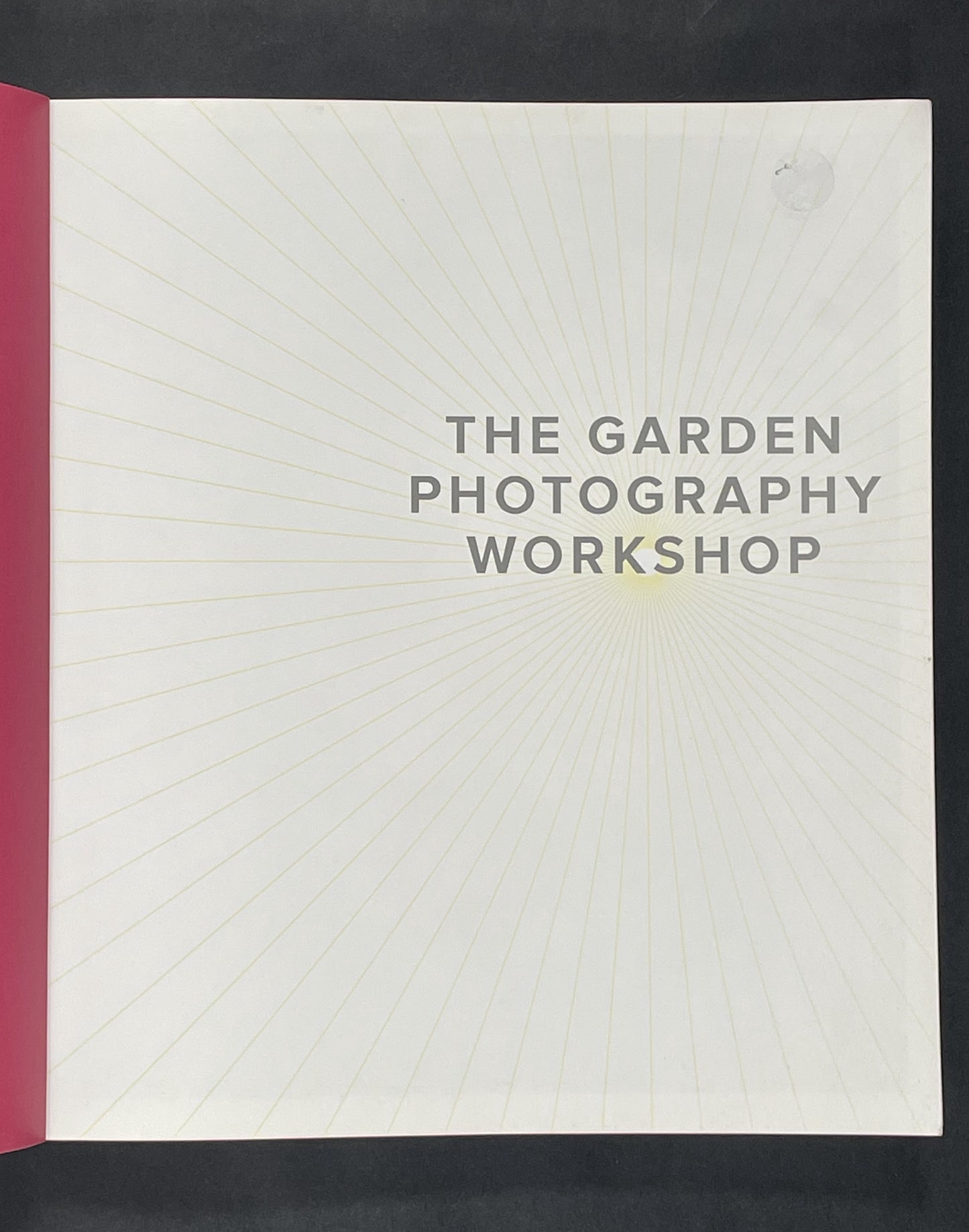 The Garden Photography Workshop by Andrea Jones