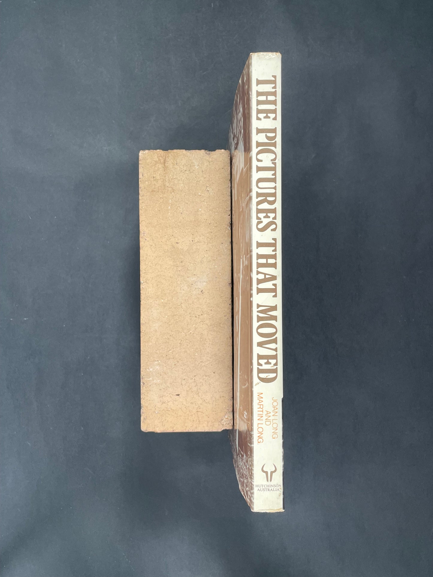 The Pictures that Moved by Joan Long, Martin Long