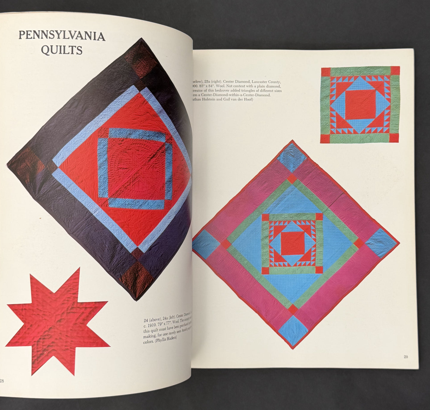 A Gallery of Amish Quilts by Robert Bishop, Elizabeth Safanda
