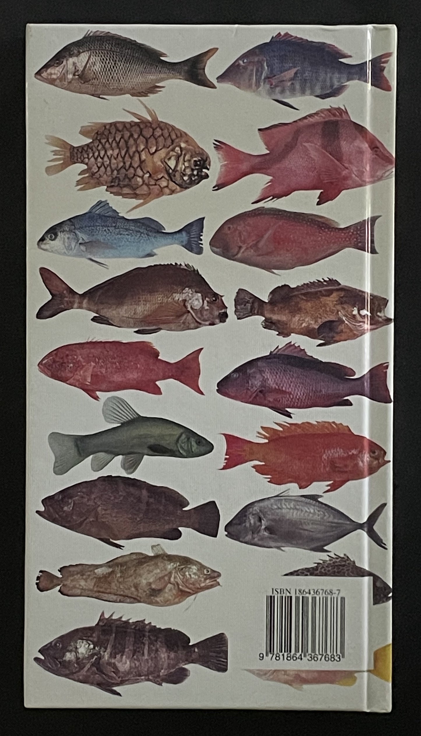 The Australian Fisherman's Companion by Harold Vaughan