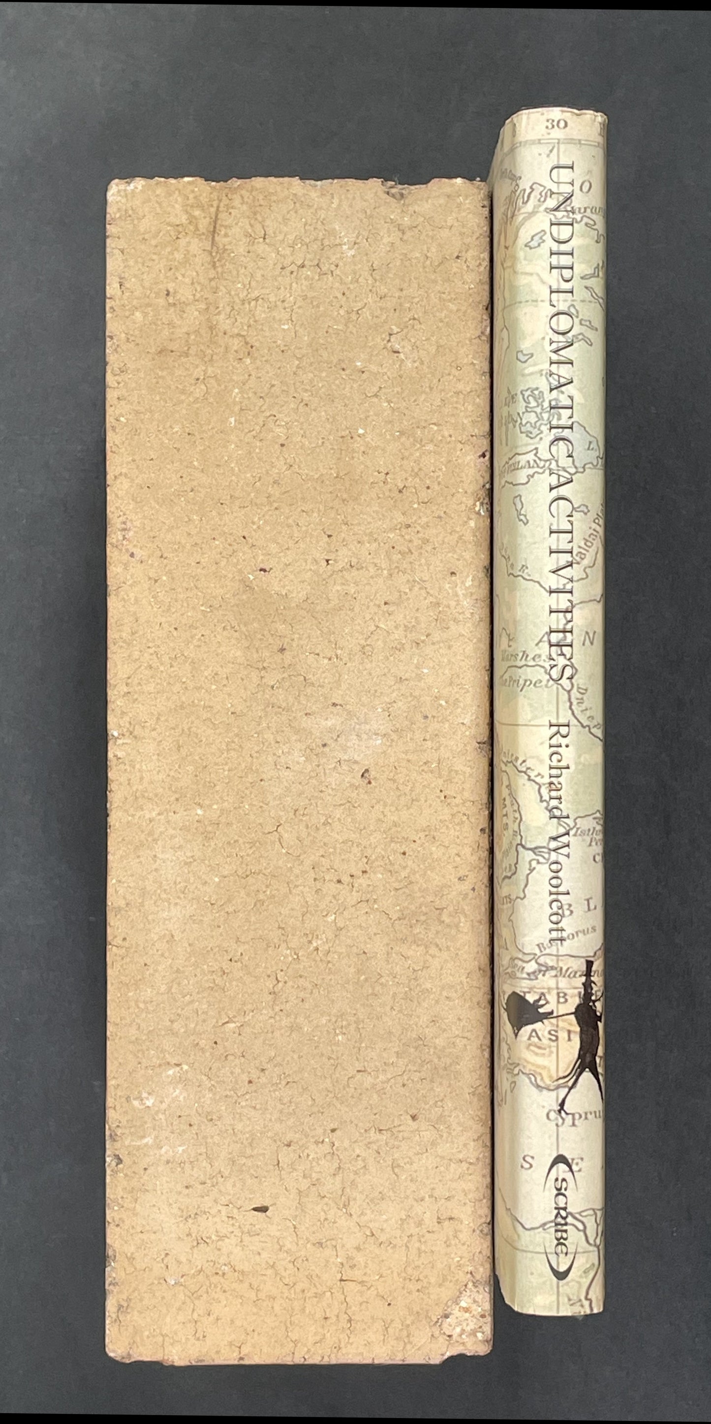 Undiplomatic Activities by Richard Woolcott