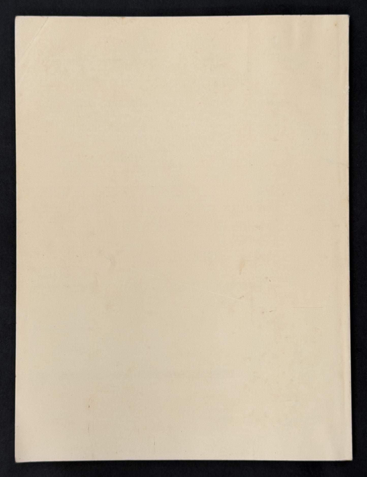 Stained Glass Volume 79, Number 3 by The Stained Glass Association of America