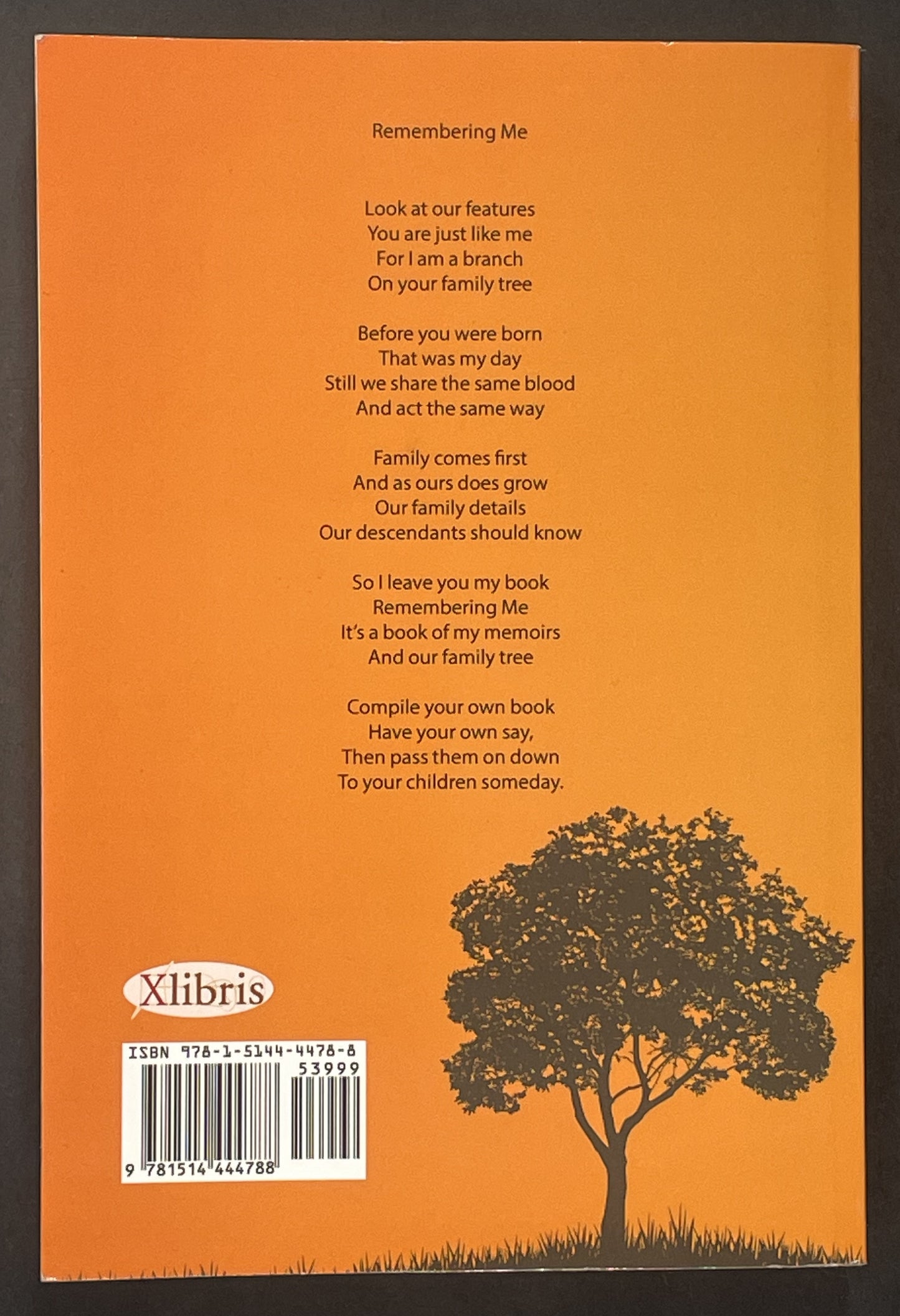 Remembering Me by Lillybeau