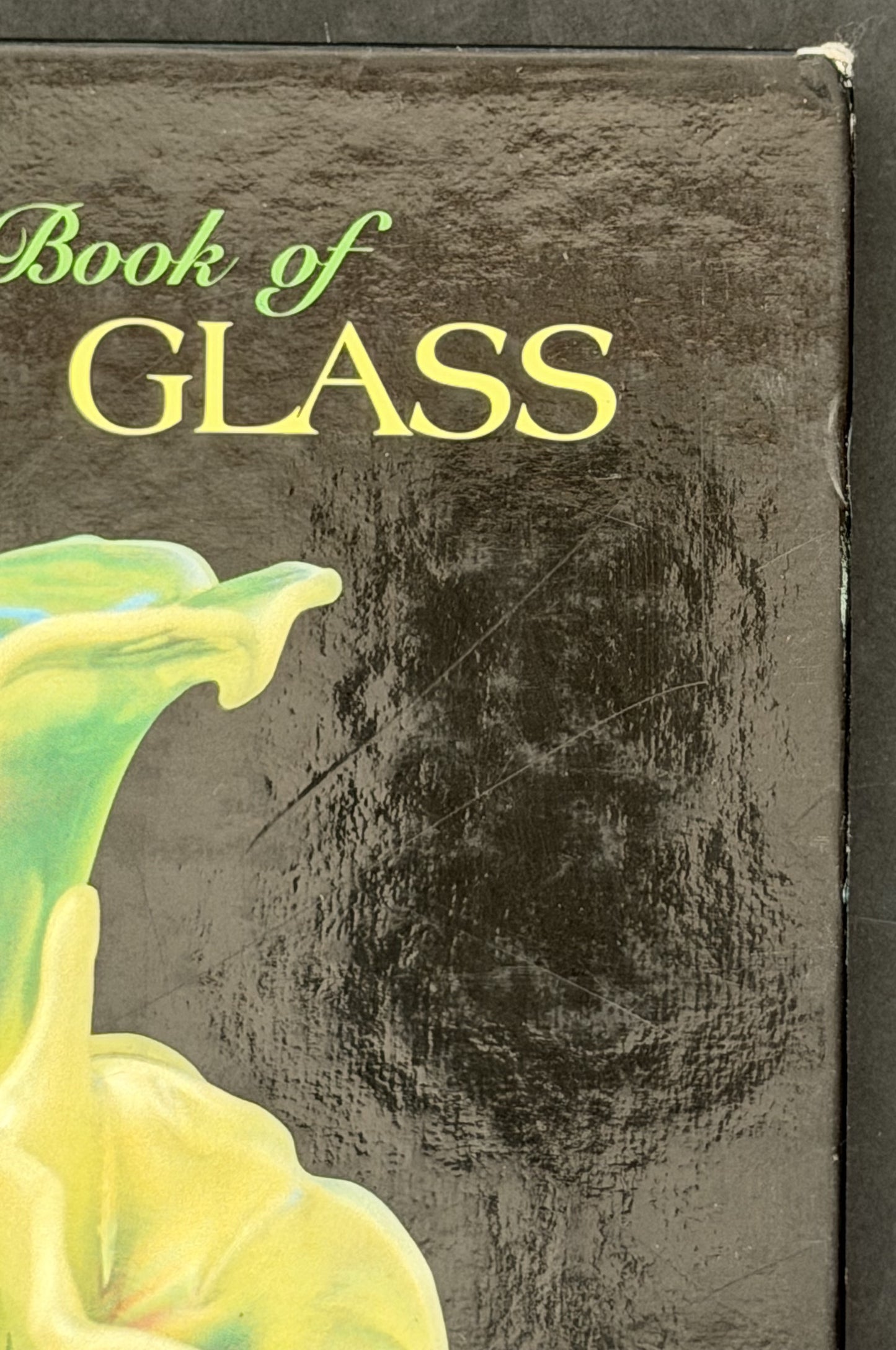 The Picture Book of Vaseline Glass by Sue C. Davis