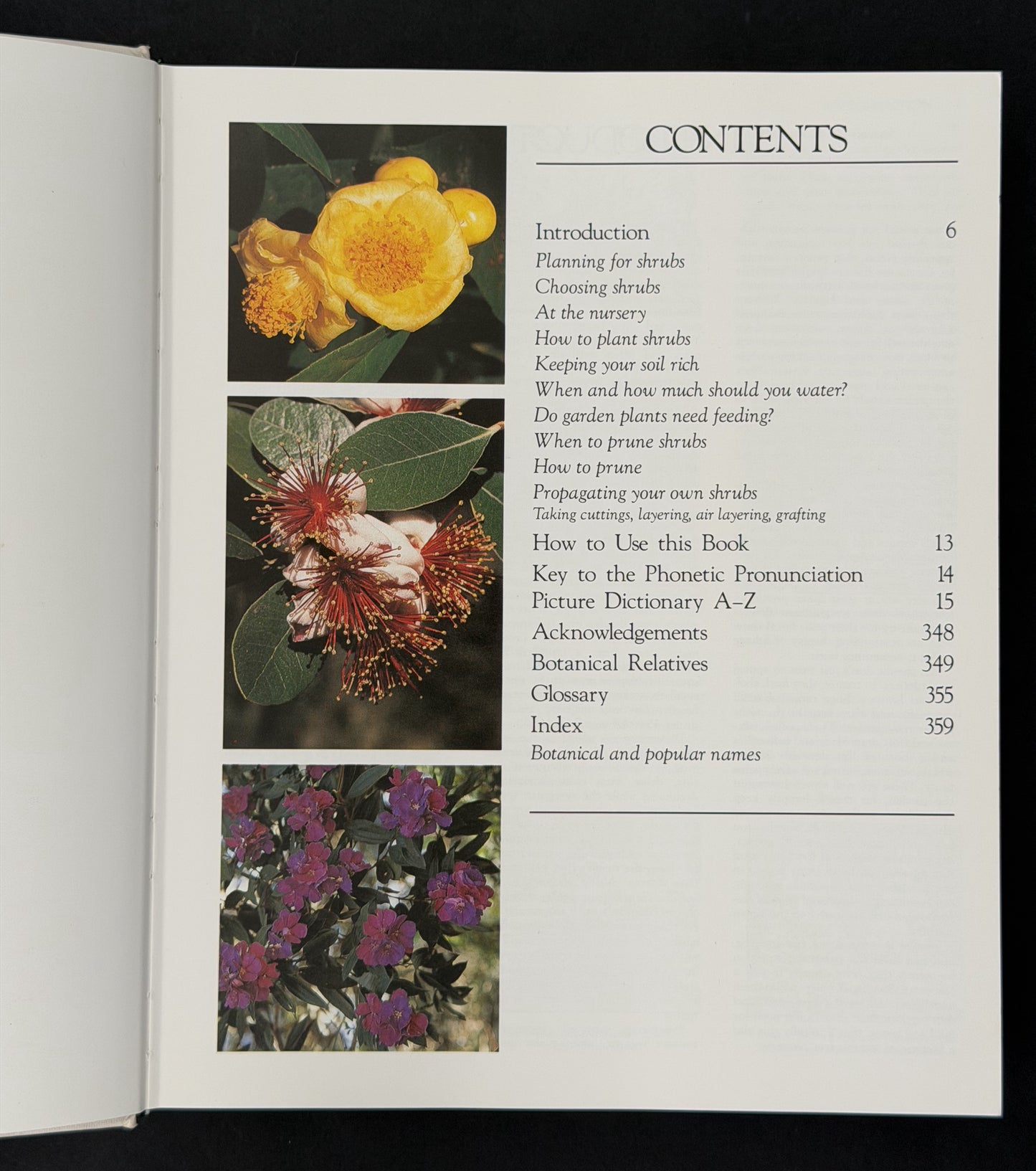 What Shrub Is That? by Stirling Macoboy