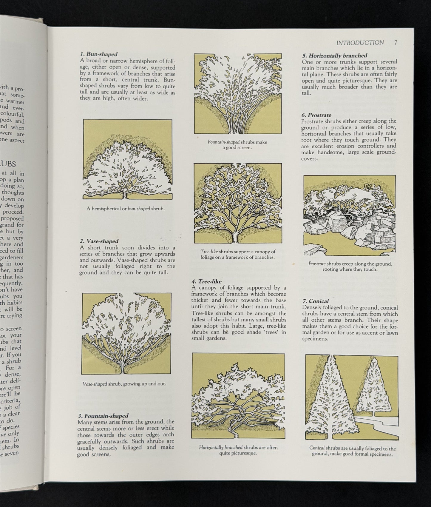 What Shrub Is That? by Stirling Macoboy