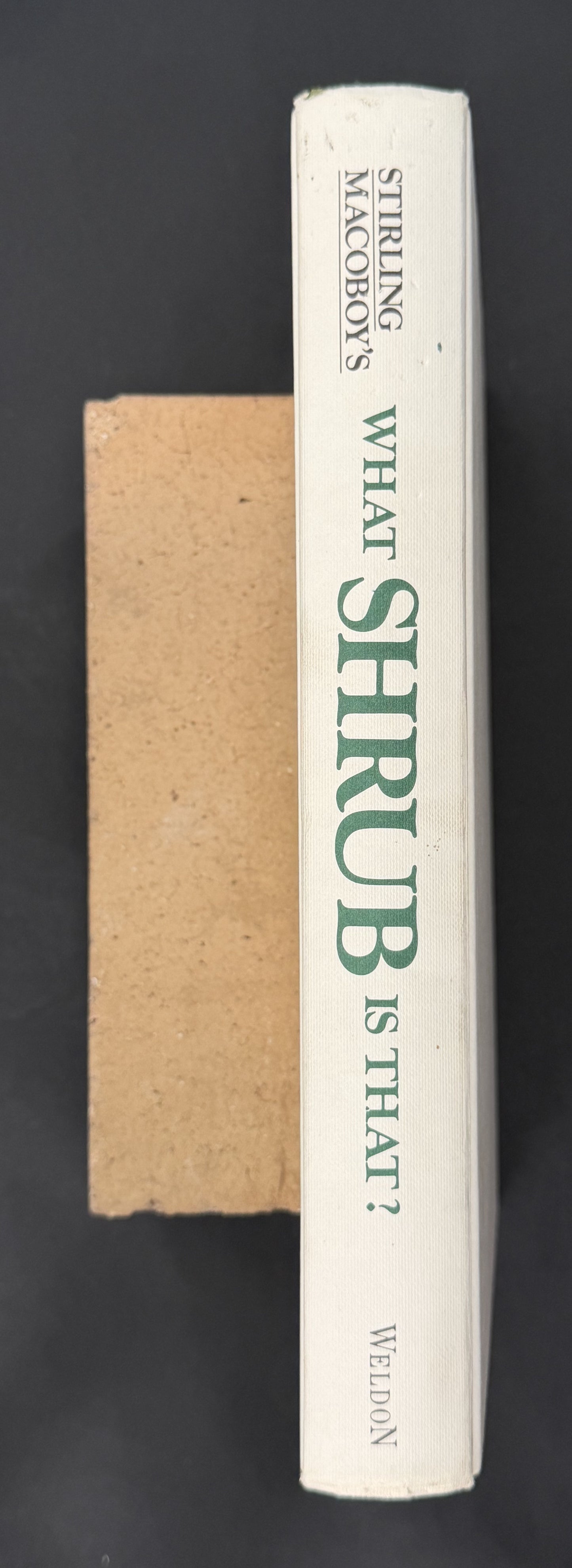 What Shrub Is That? by Stirling Macoboy