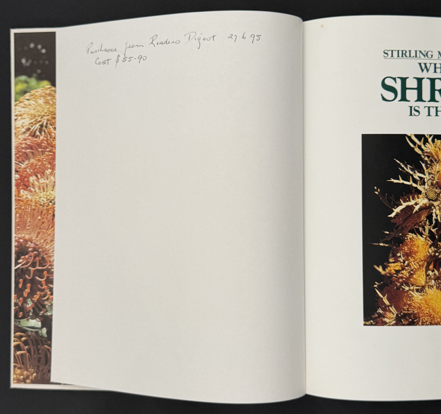 What Shrub Is That? by Stirling Macoboy