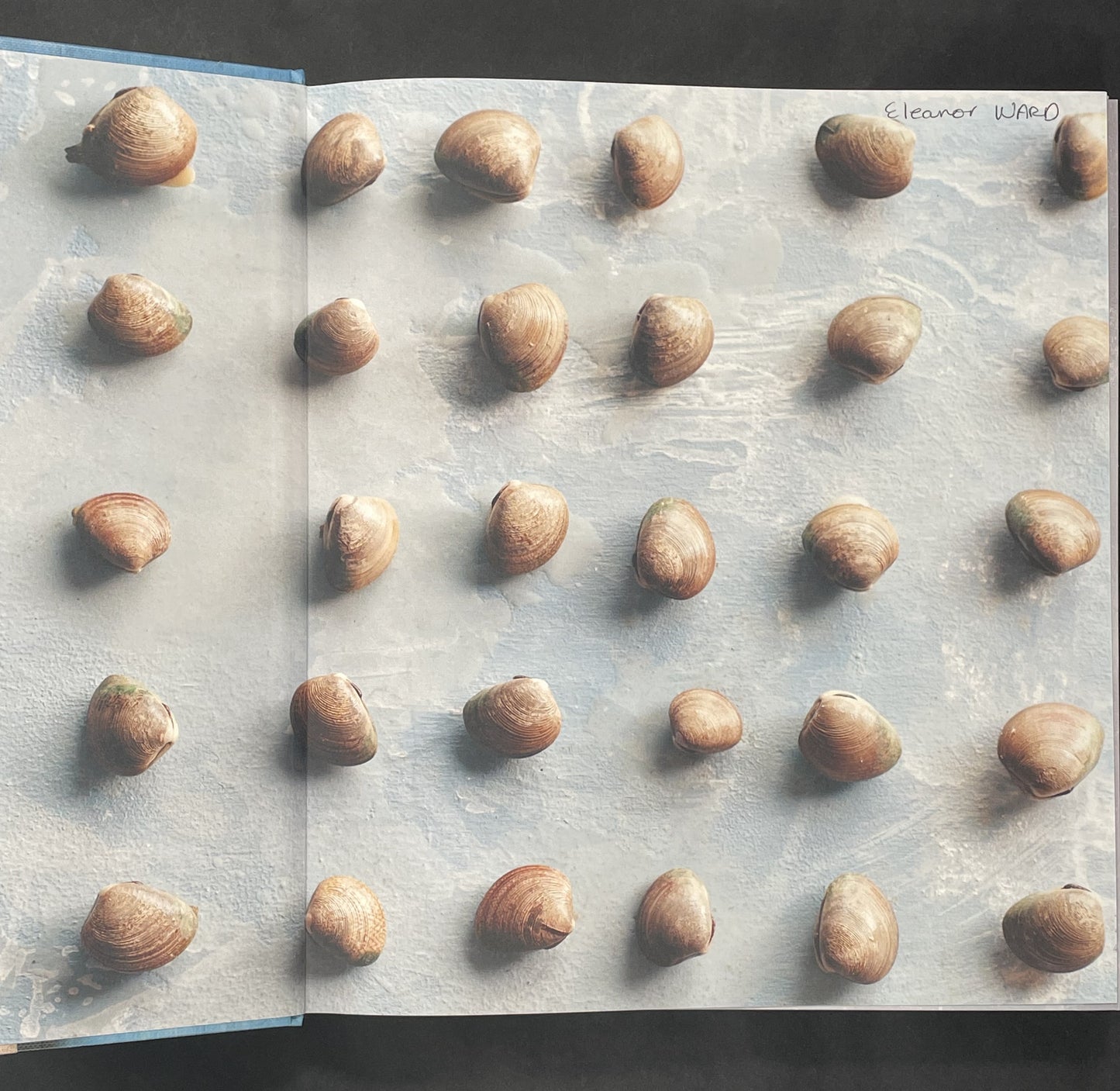 Sydney Seafood School Cookbook by Roberta Muir