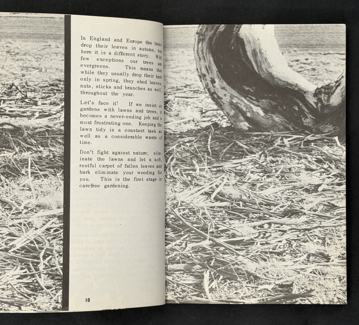 Designing Australian Bush Gardens by Betty Maloney, Jean Walker