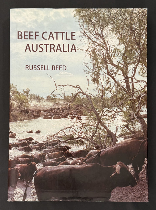 Beef Cattle Australia by Russell Reed