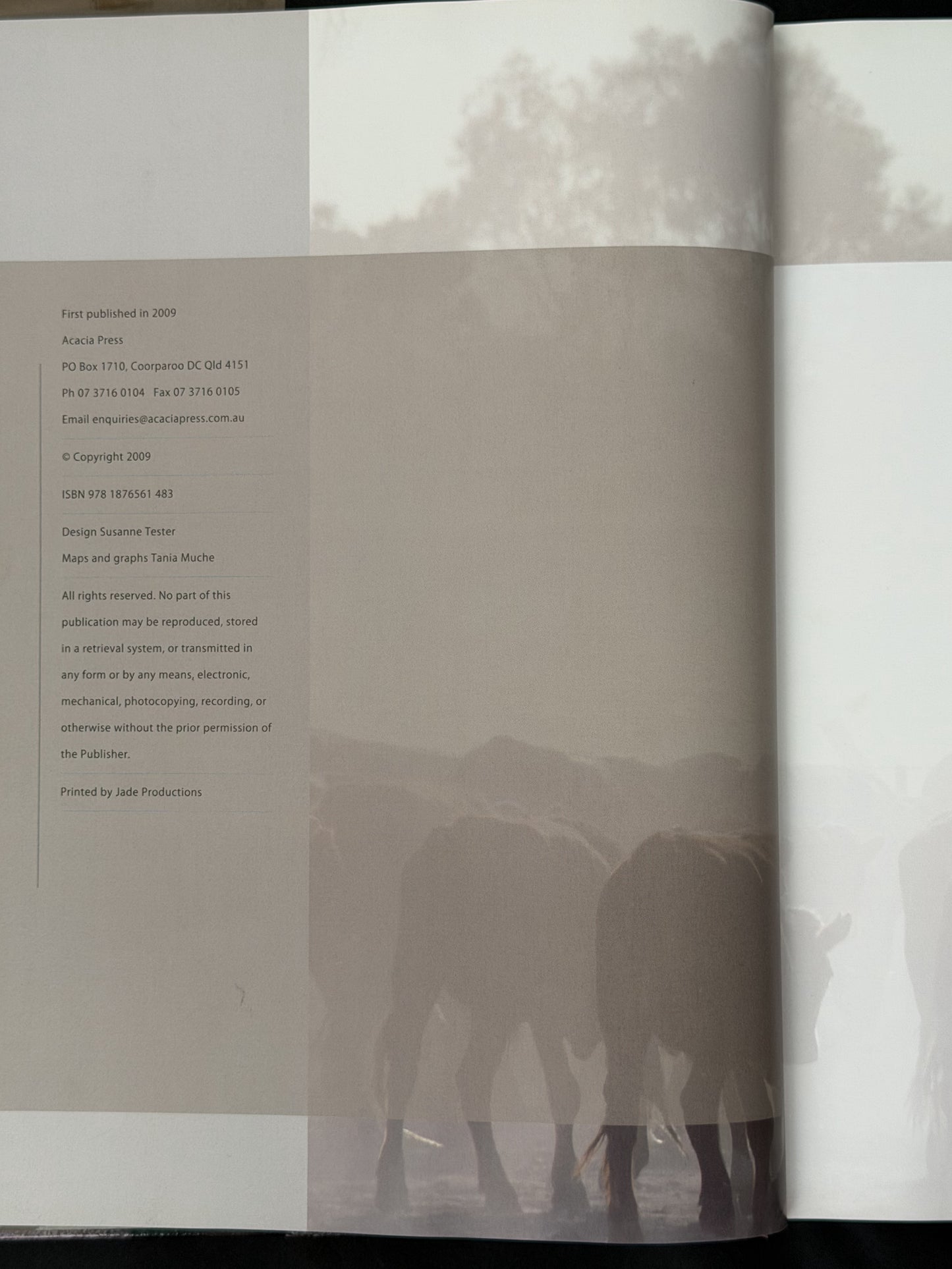 Beef Cattle Australia by Russell Reed