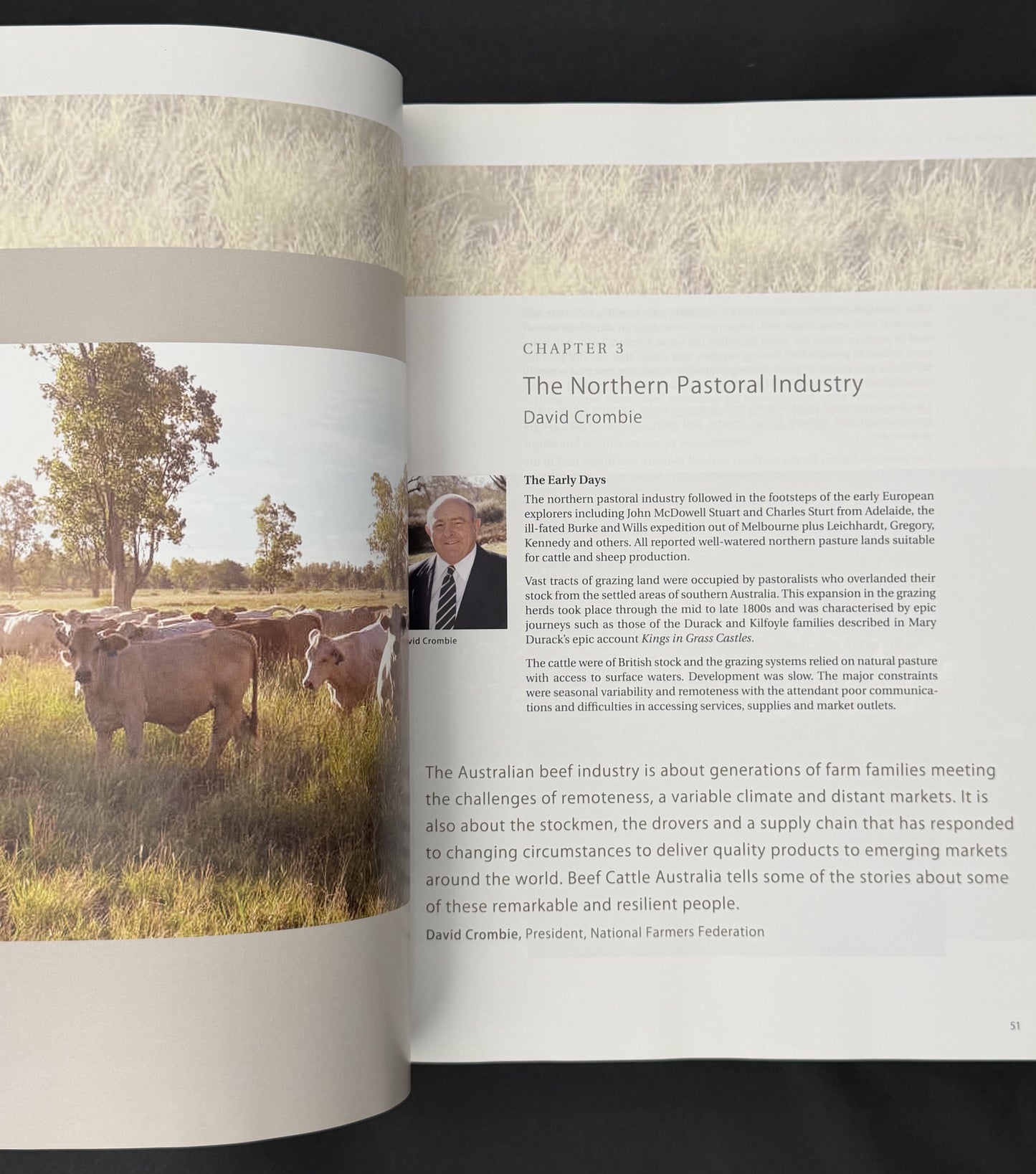 Beef Cattle Australia by Russell Reed