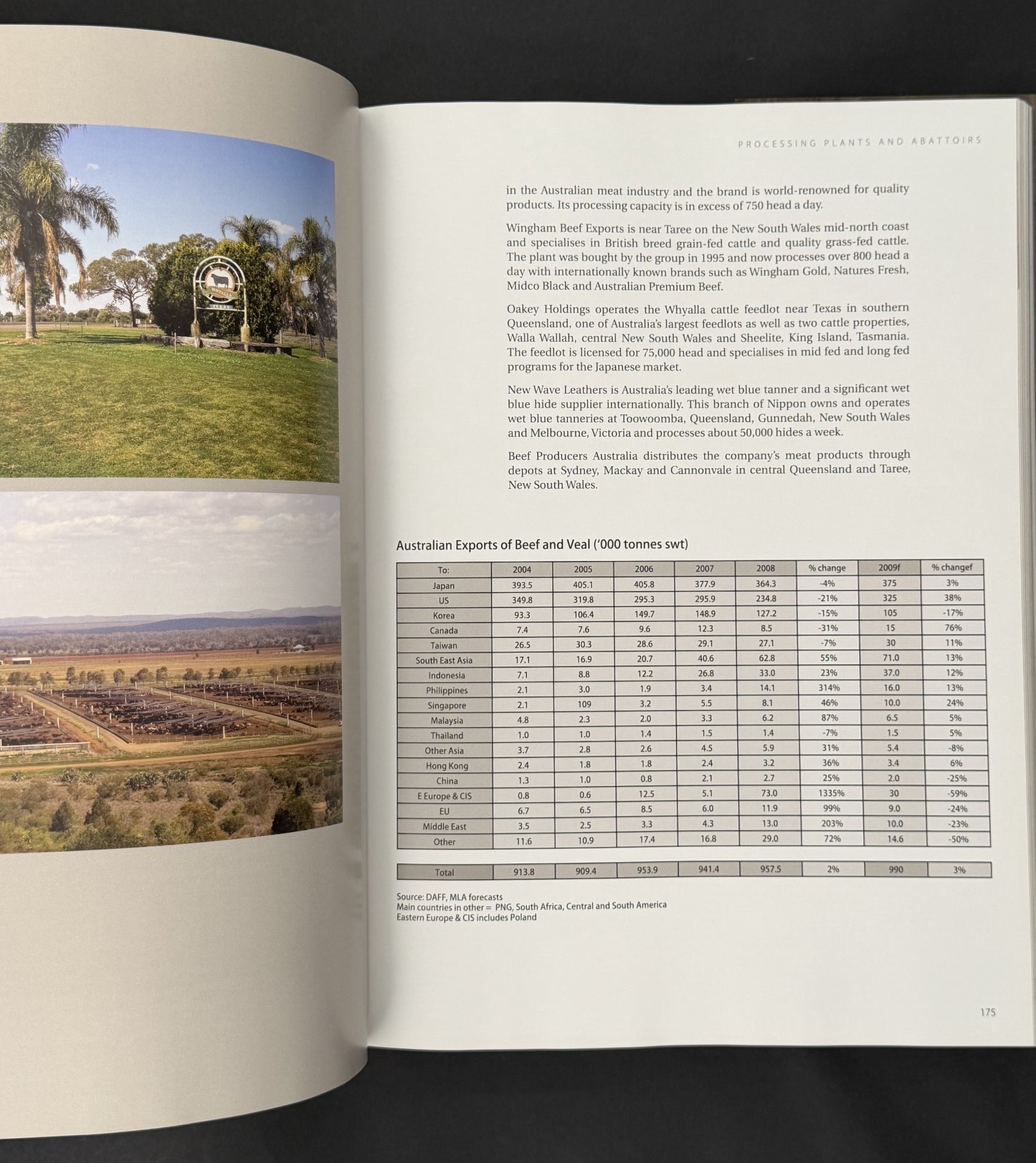 Beef Cattle Australia by Russell Reed