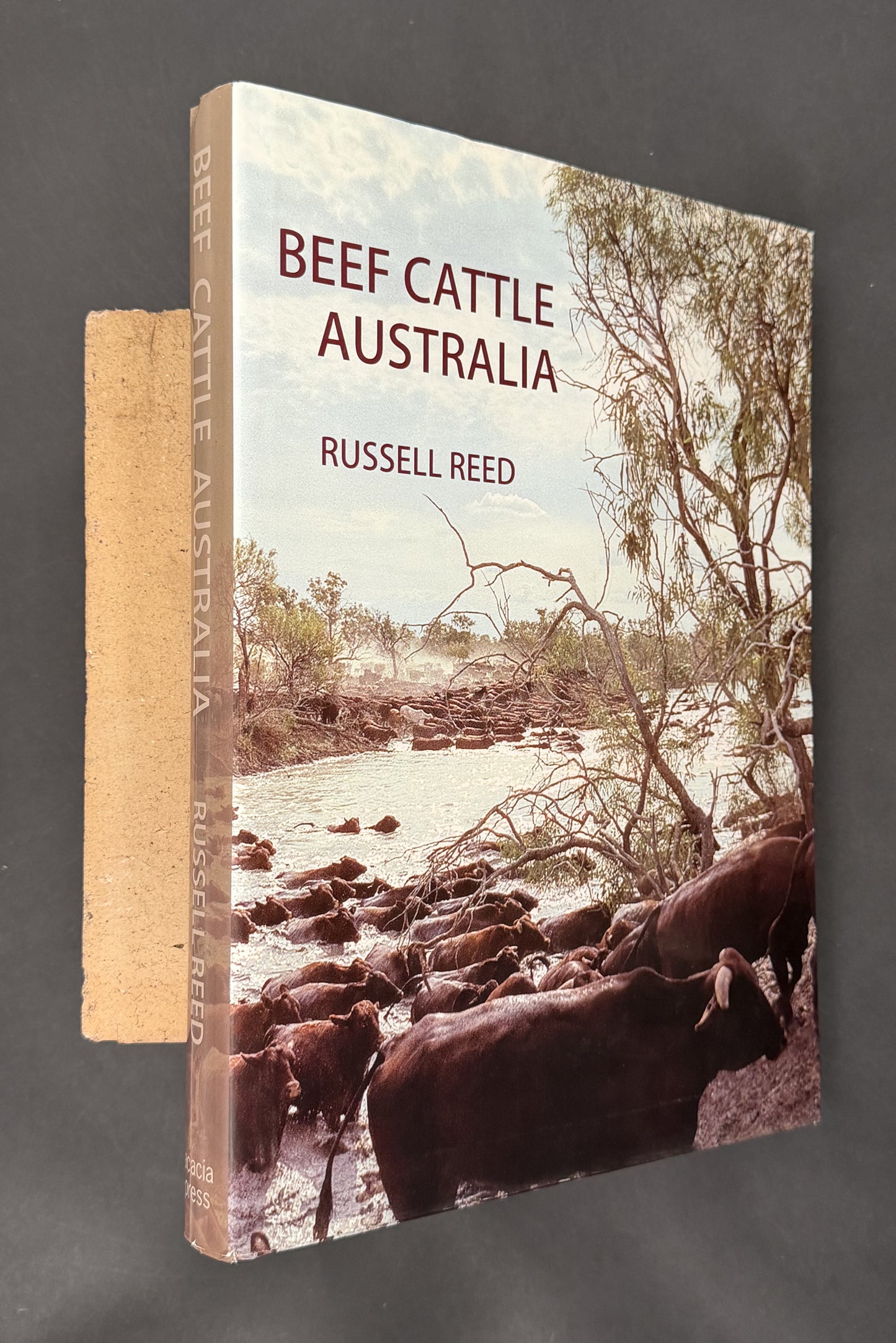 Beef Cattle Australia by Russell Reed