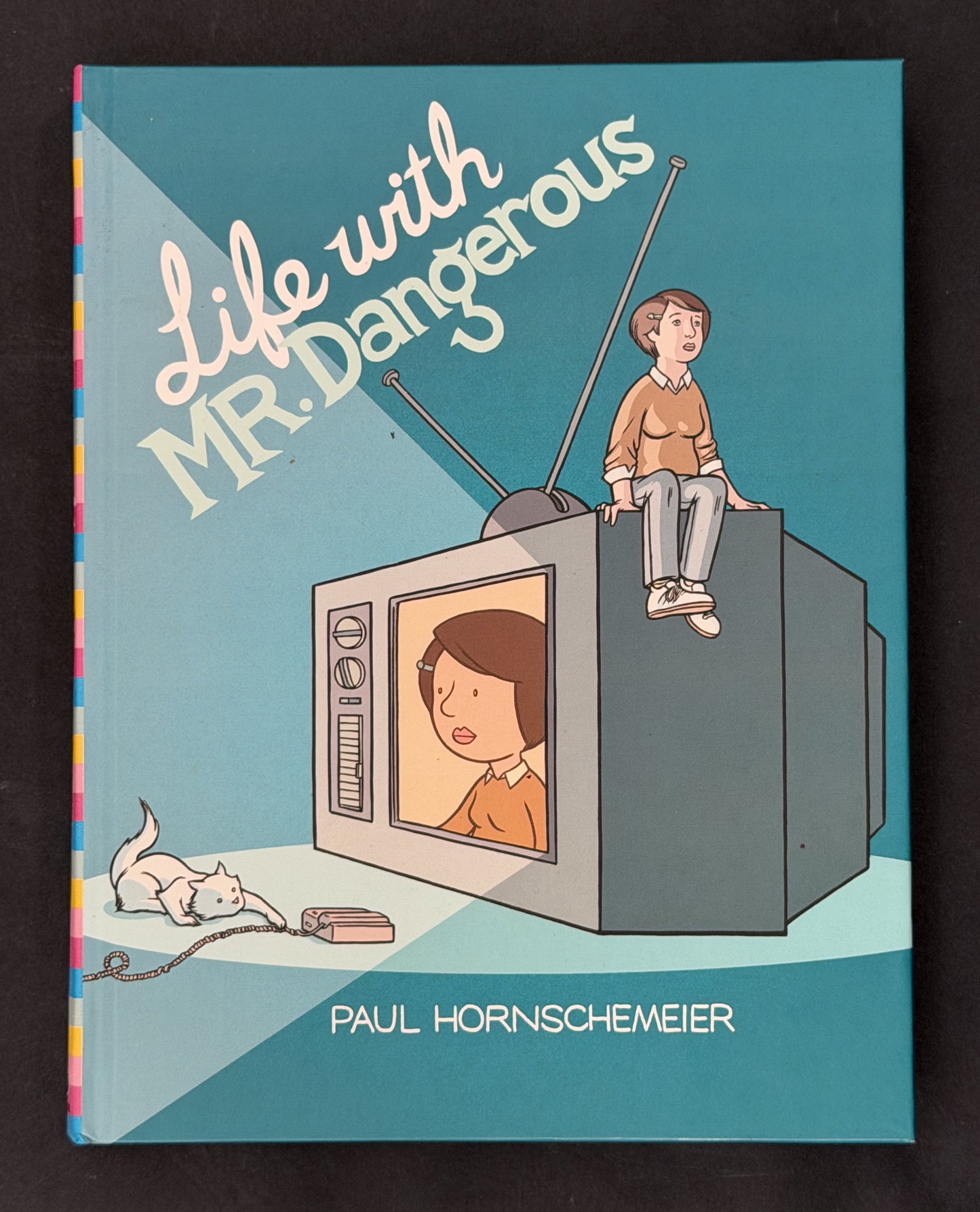 Life with Mr. Dangerous by Paul Hornschemeier