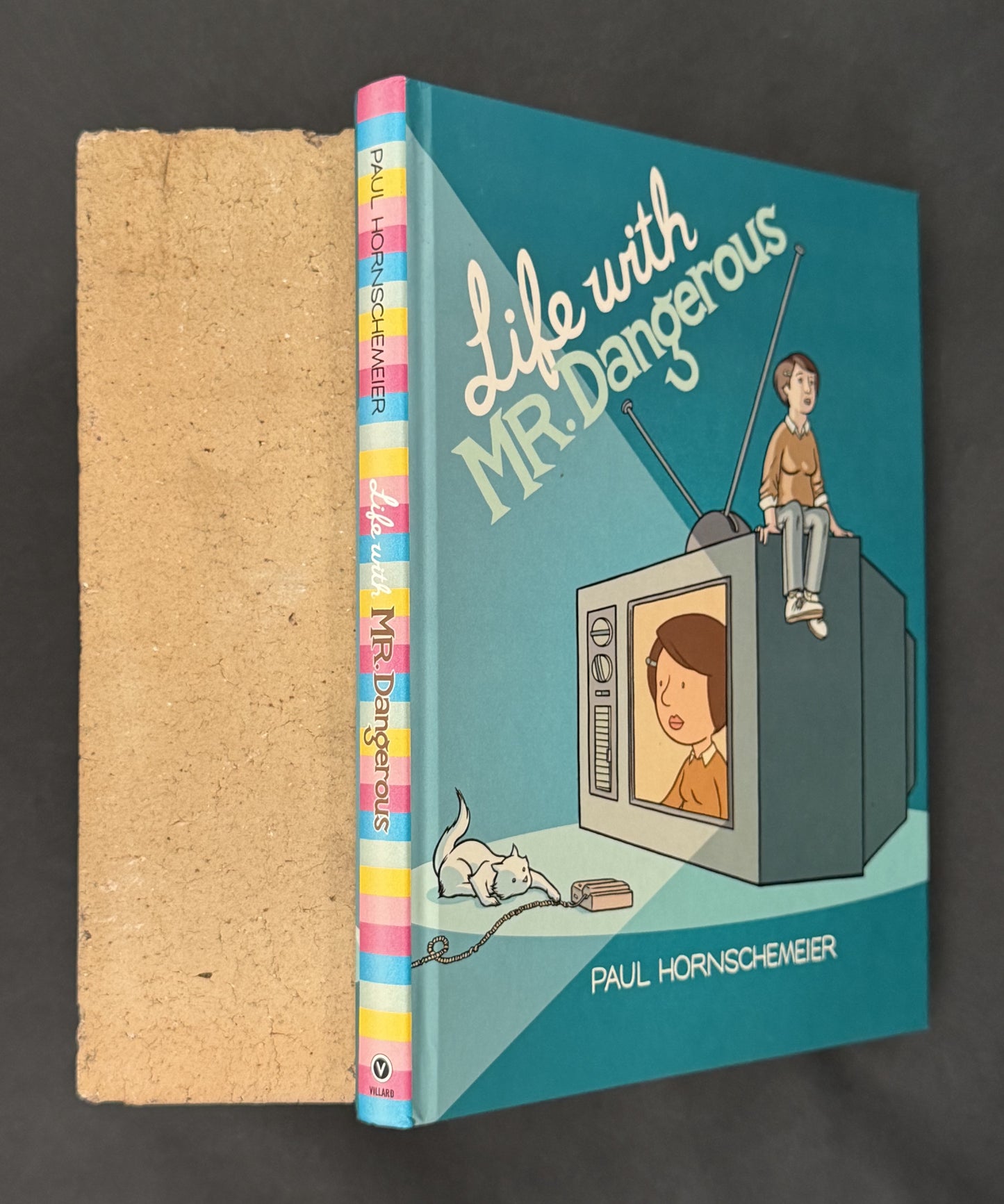 Life with Mr. Dangerous by Paul Hornschemeier