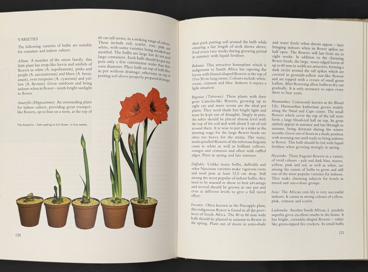 Container and Indoor Gardening by Keith Kirsten