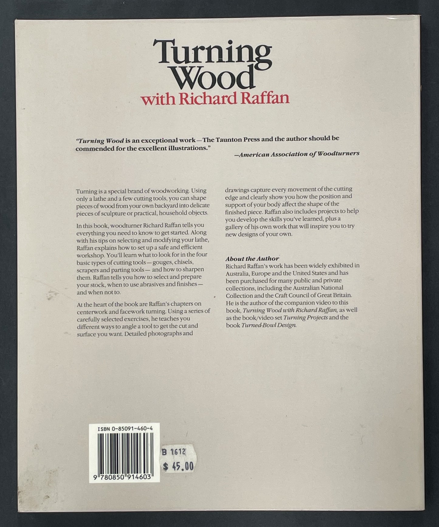 Turning Wood by Richard Raffan