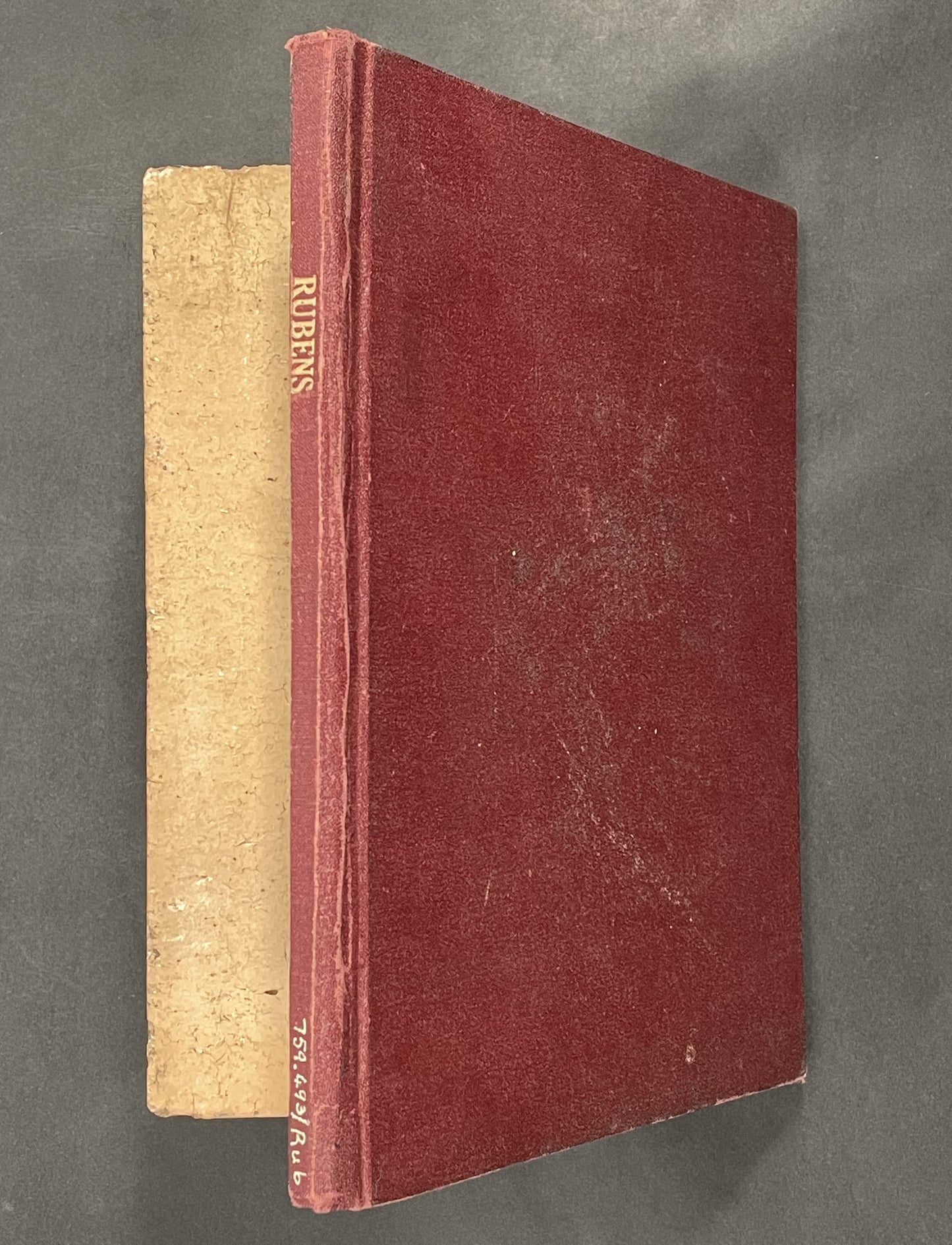 Rubens by Elizabeth Ripley
