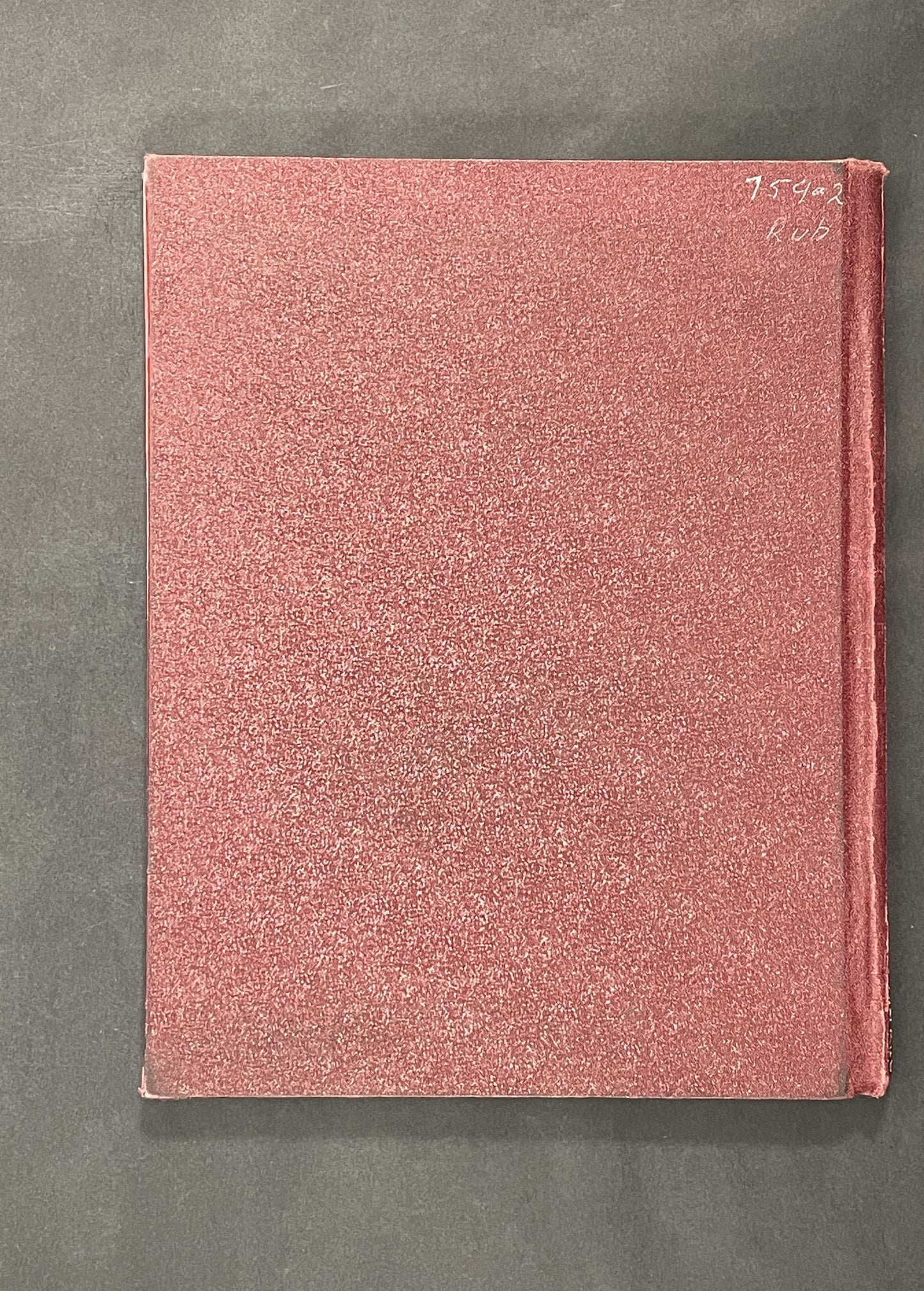 Rubens by Elizabeth Ripley