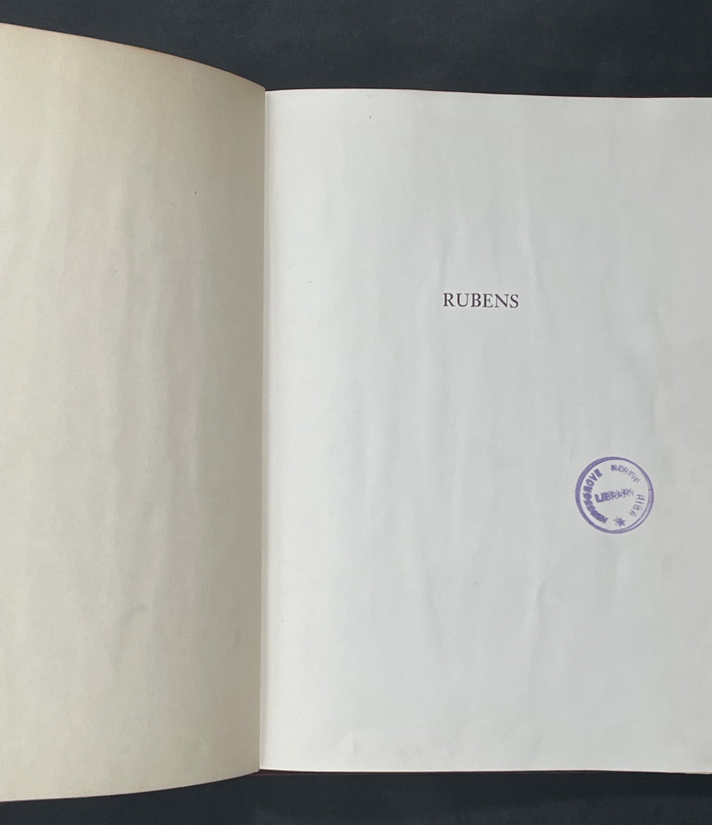 Rubens by Elizabeth Ripley