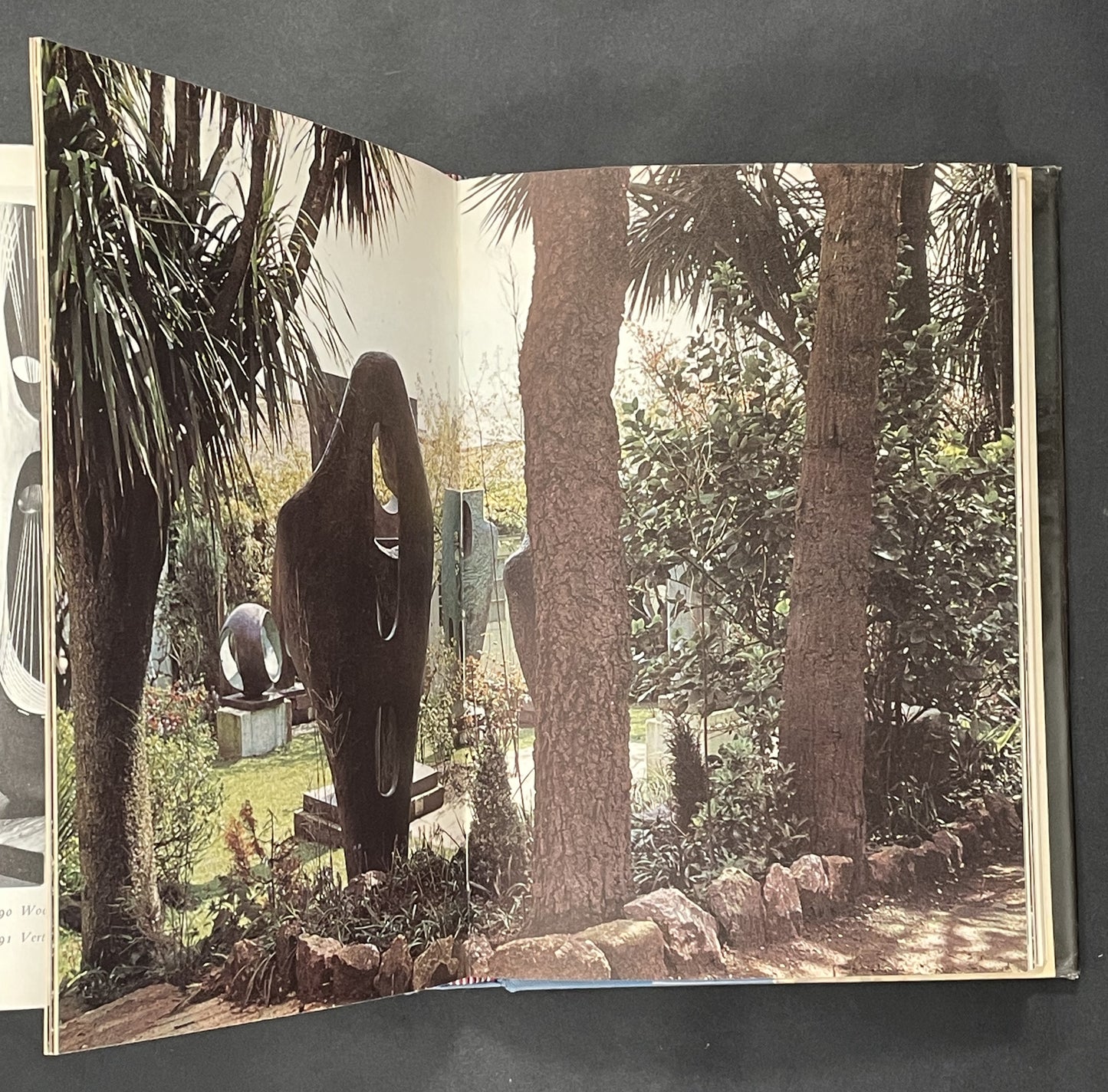 Barbara Hepworth by A. M. Hammacher