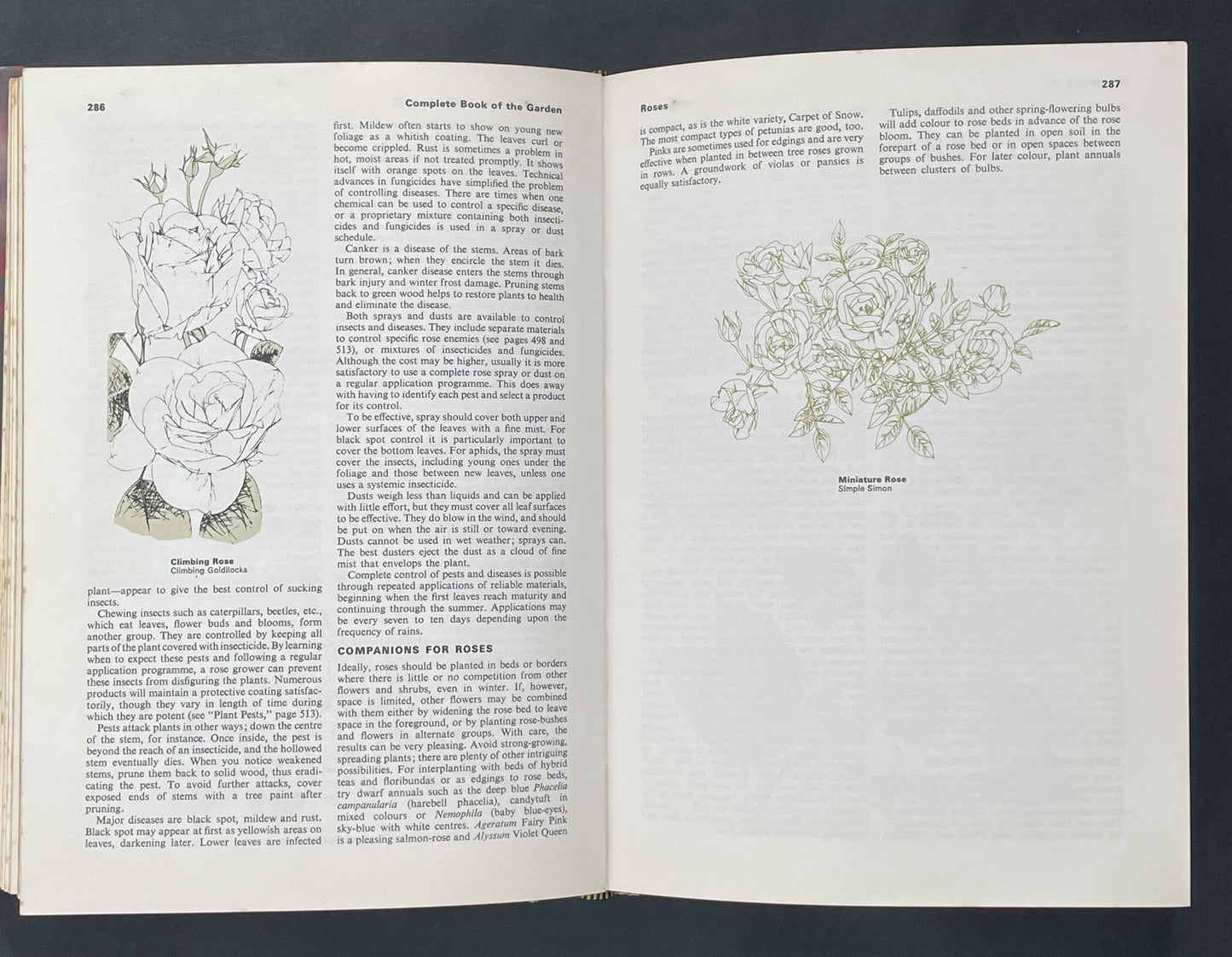 Complete Book of the Garden by Reader's Digest Association