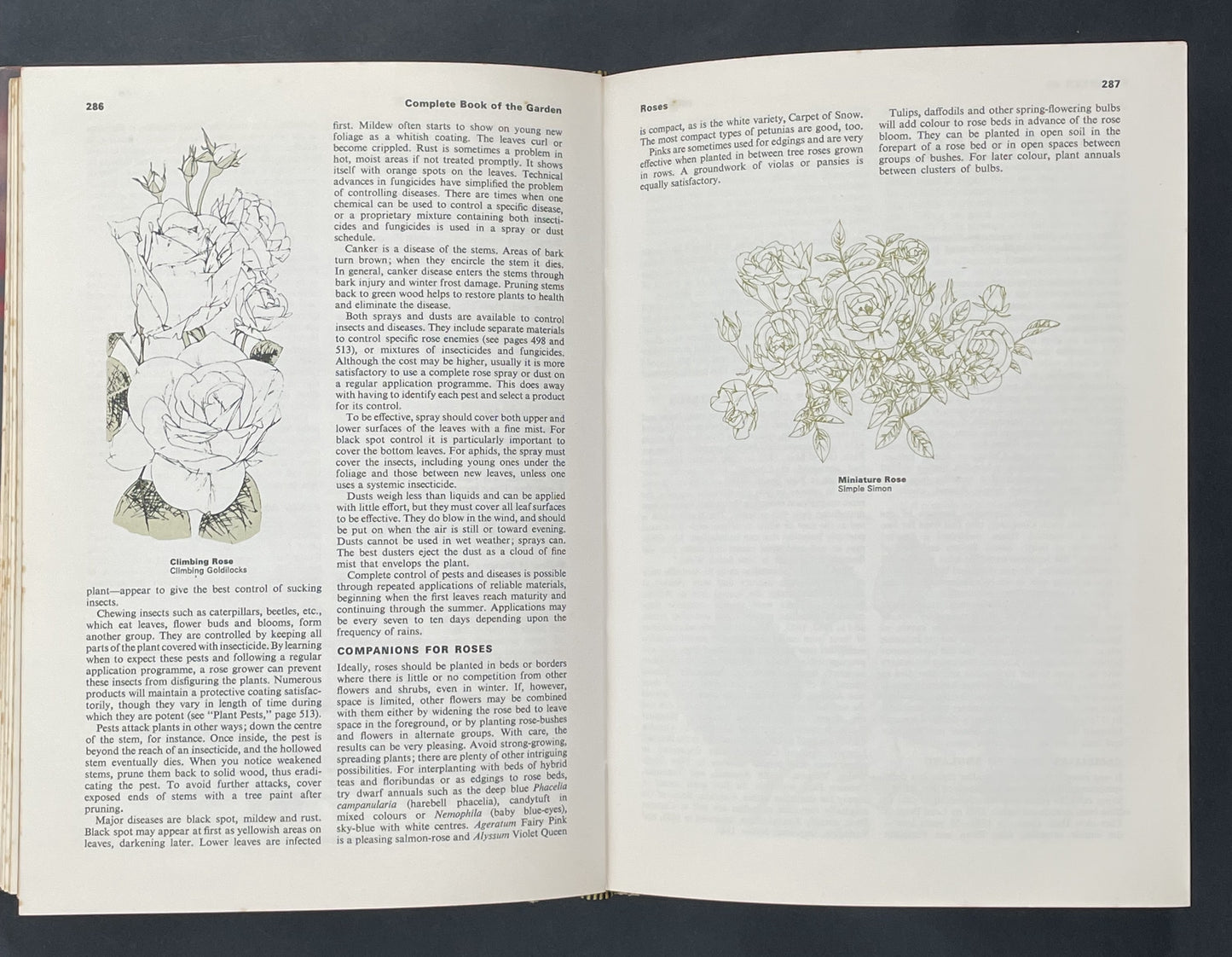 Complete Book of the Garden by Reader's Digest Association