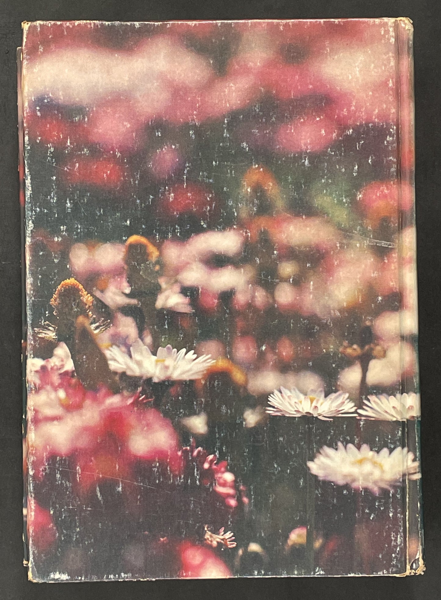 Complete Book of the Garden by Reader's Digest Association