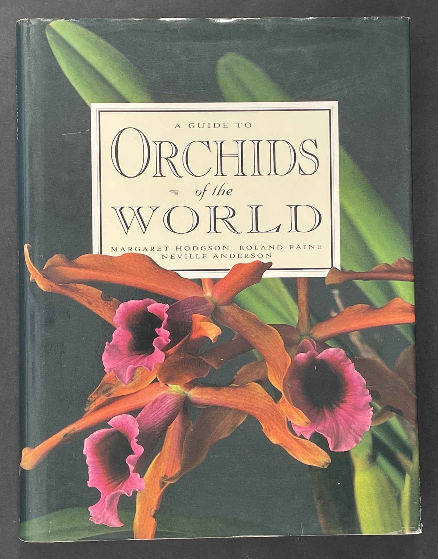 A Guide to Orchids of the World by Margaret Hodgson et al.
