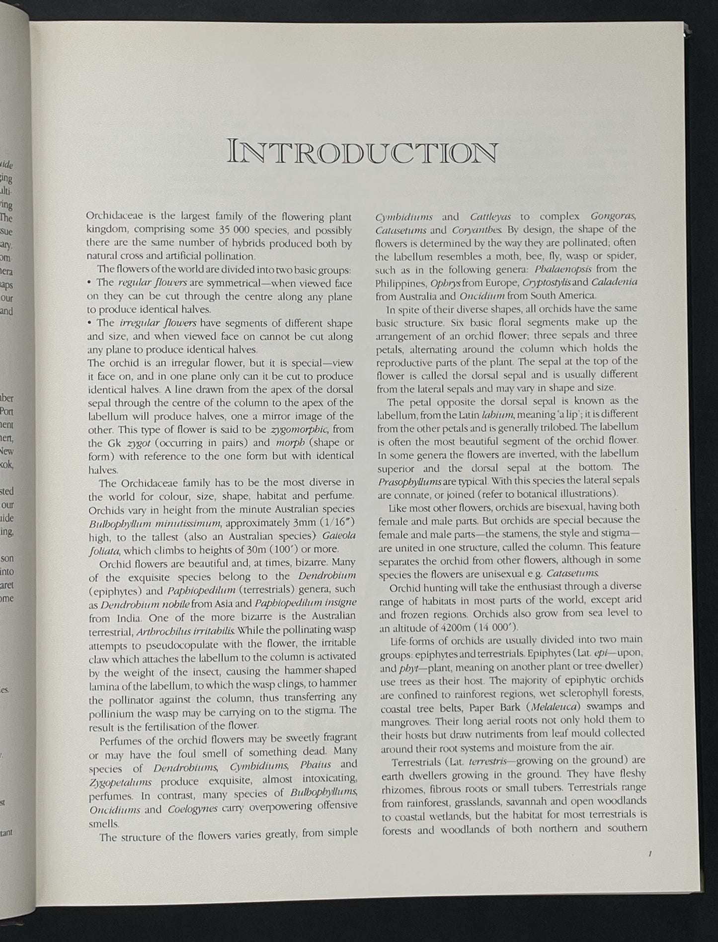 A Guide to Orchids of the World by Margaret Hodgson et al.