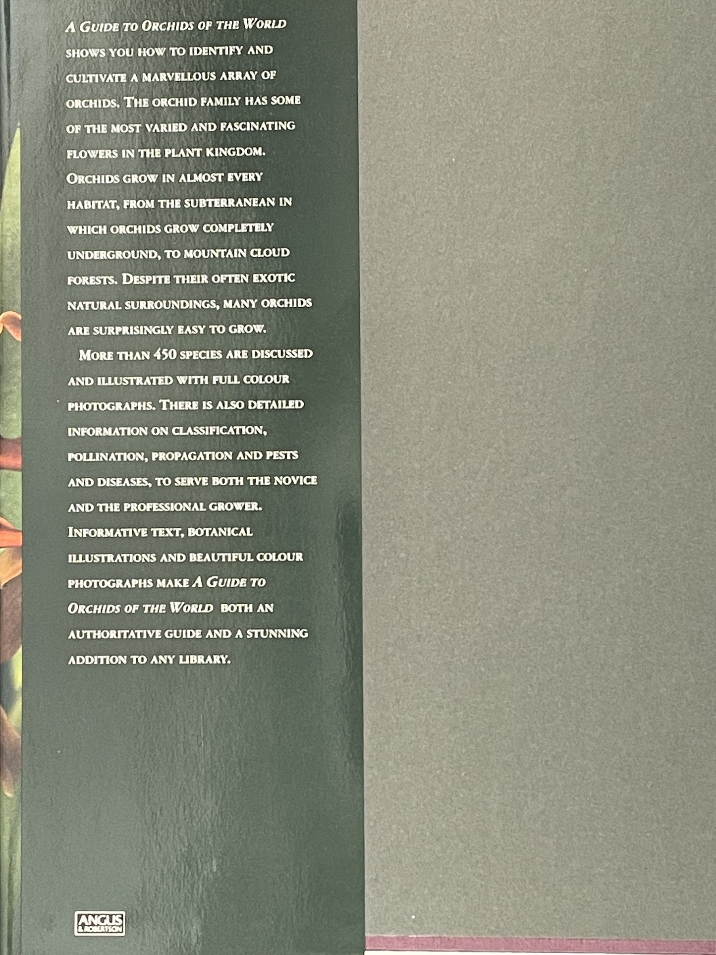 A Guide to Orchids of the World by Margaret Hodgson et al.